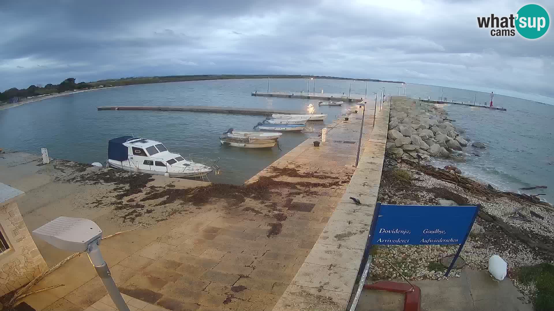 Cámara web de la isla de Unije: explore la belleza de la joya escondida de Croacia