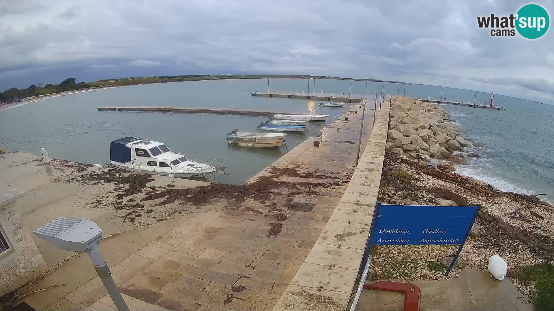 Webcam Isola di Unije – Esplora la bellezza della gemma nascosta della Croazia