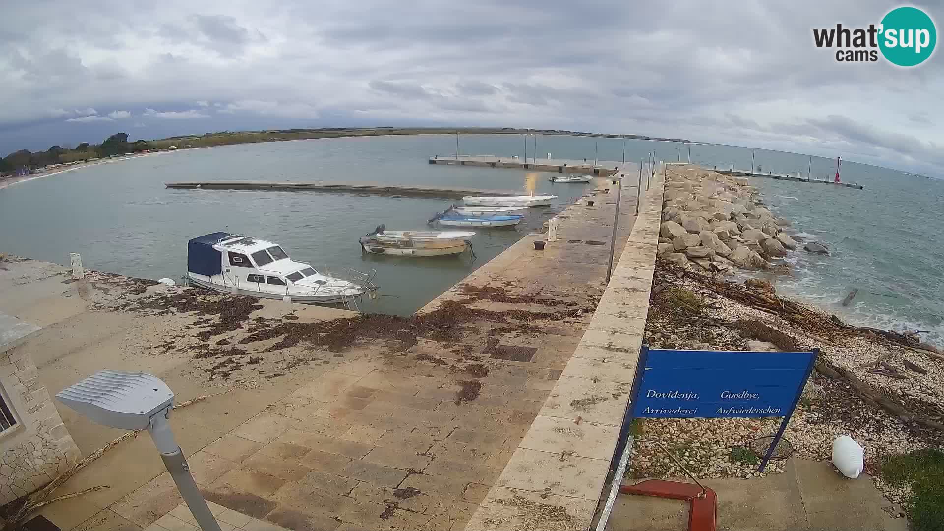 Cámara web de la isla de Unije: explore la belleza de la joya escondida de Croacia