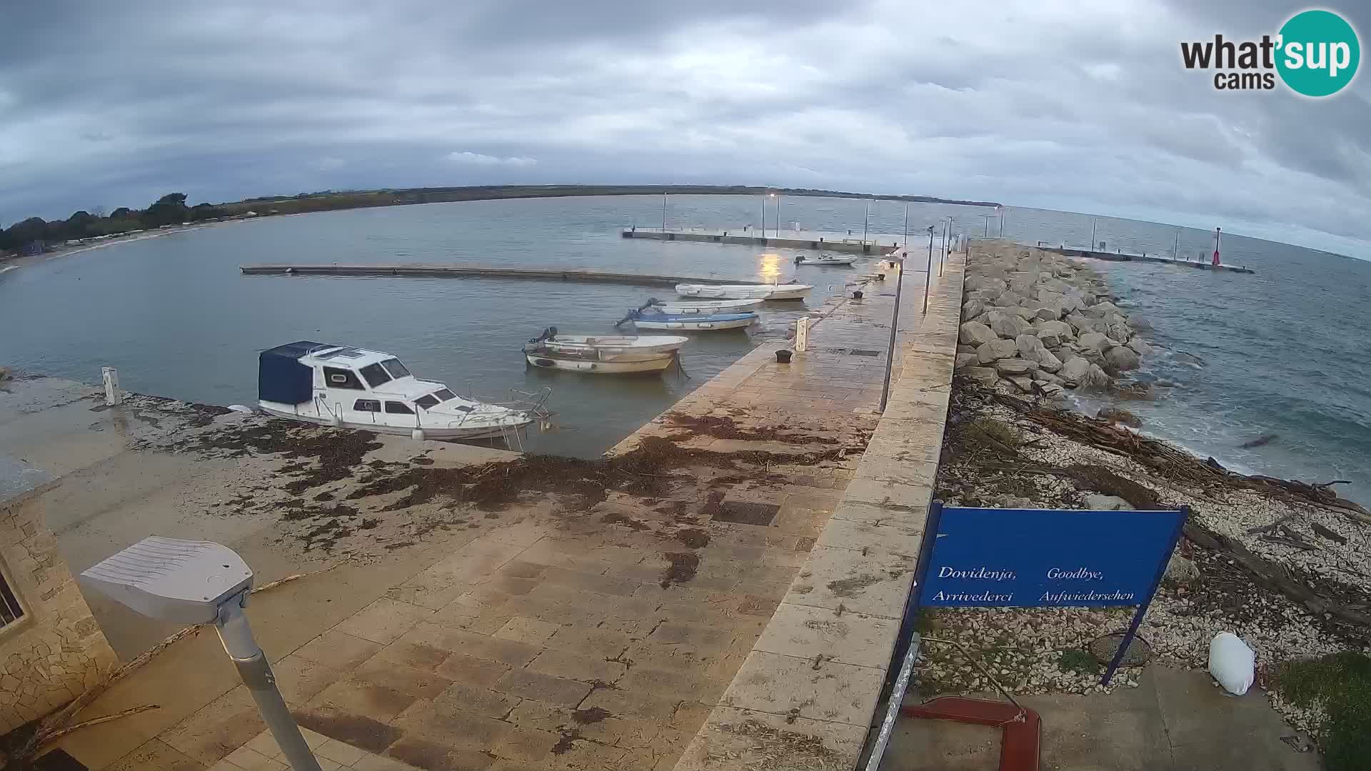 Cámara web de la isla de Unije: explore la belleza de la joya escondida de Croacia