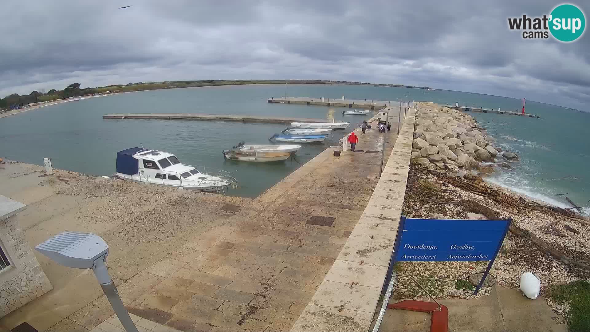 Cámara web de la isla de Unije: explore la belleza de la joya escondida de Croacia