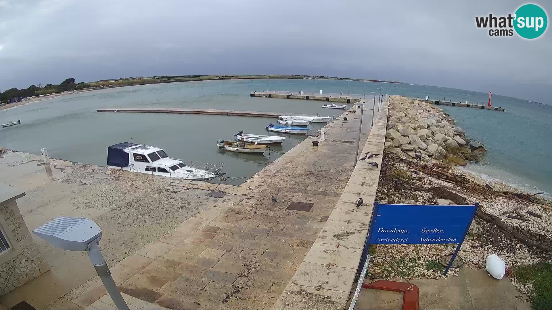 Insel Unije Webcam – Entdecken Sie die Schönheit von Kroatiens verstecktem Juwel