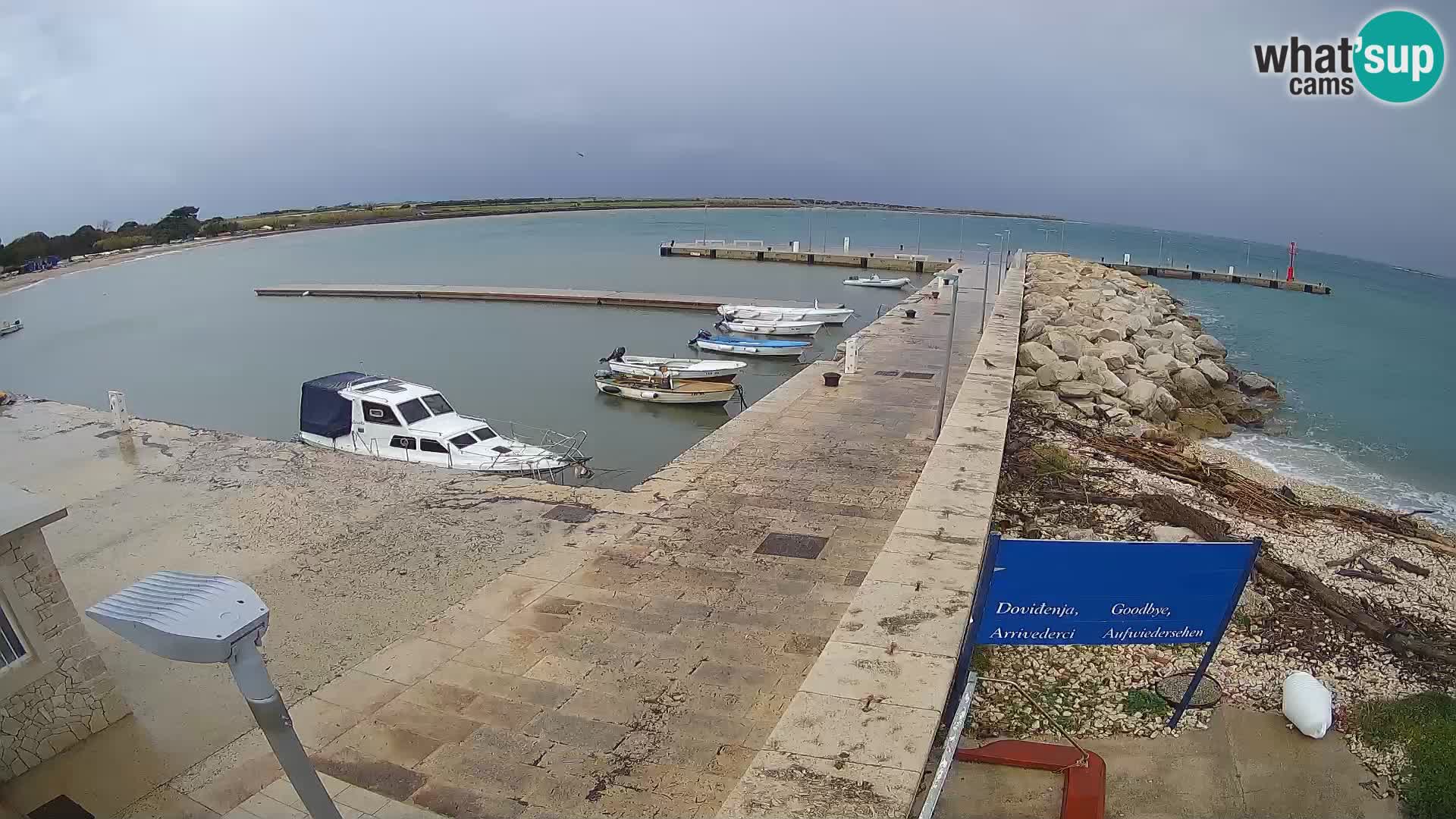 Webcam Isola di Unije – Esplora la bellezza della gemma nascosta della Croazia