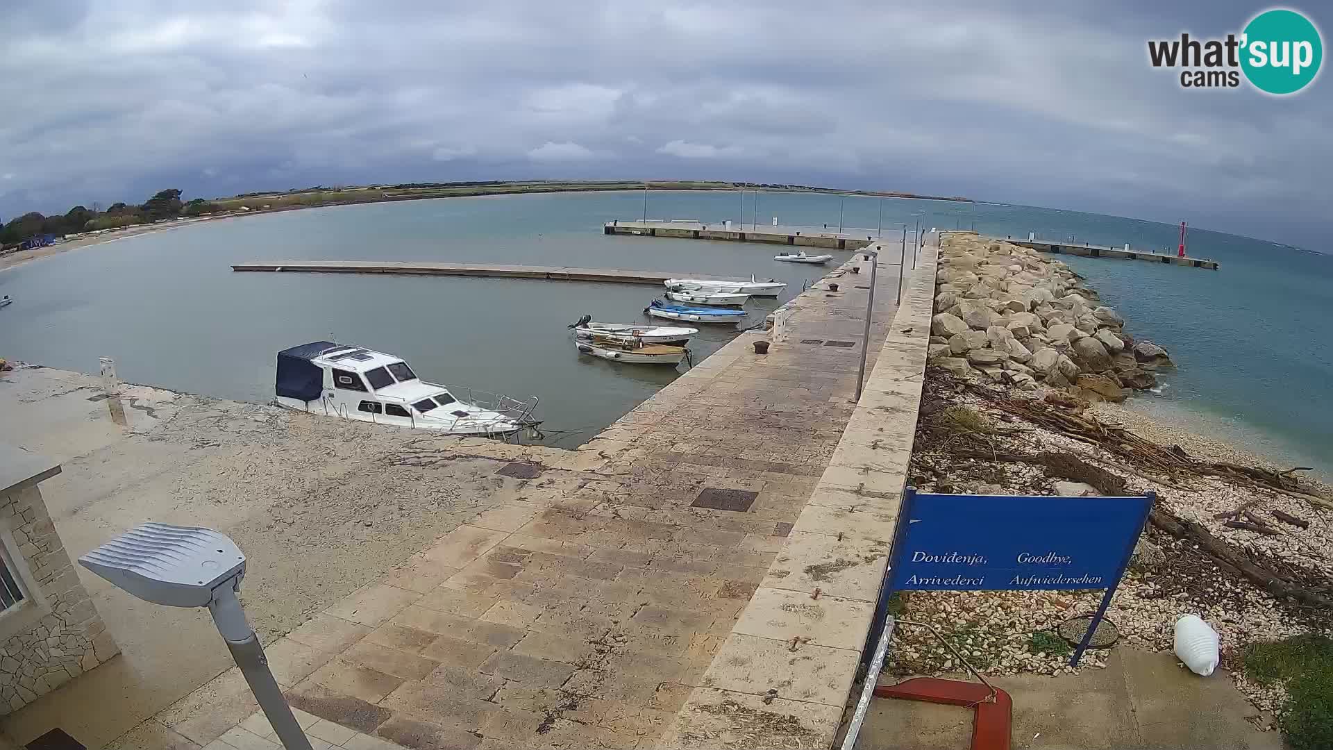 Cámara web de la isla de Unije: explore la belleza de la joya escondida de Croacia