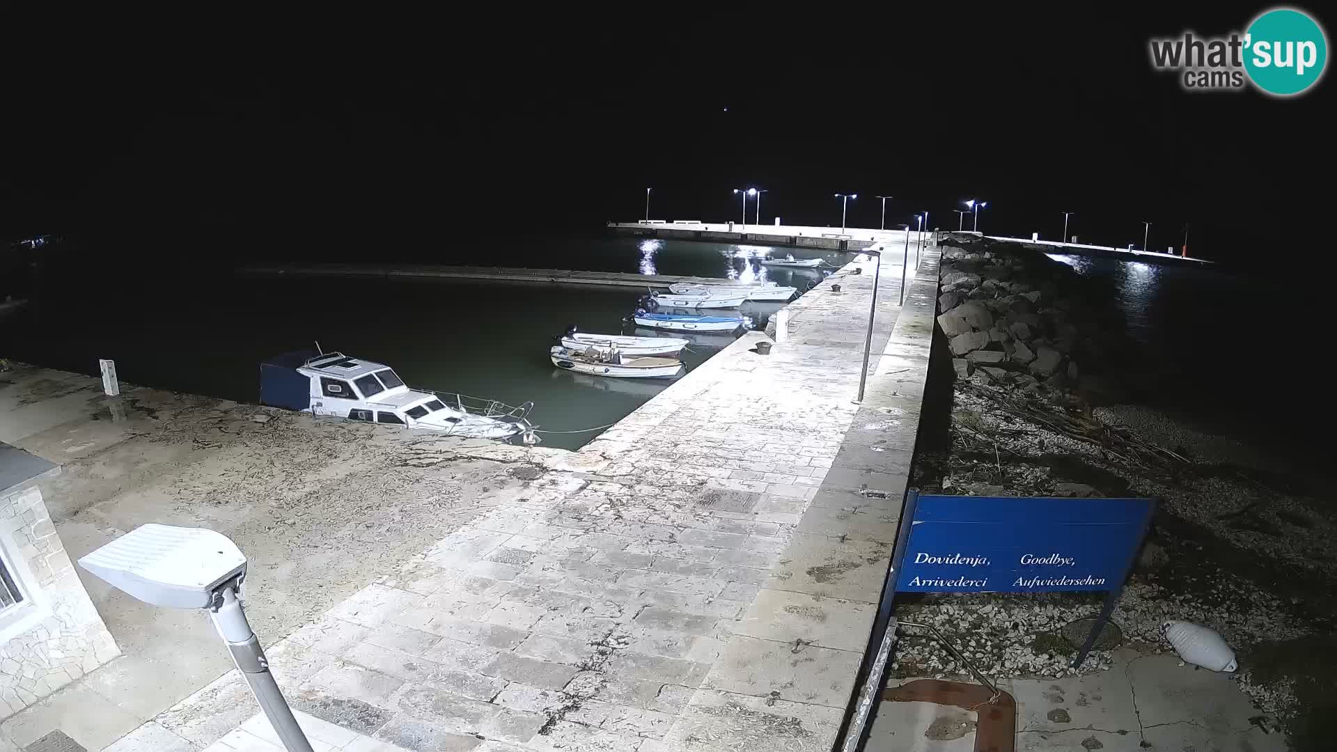 Webcam Isola di Unije – Esplora la bellezza della gemma nascosta della Croazia