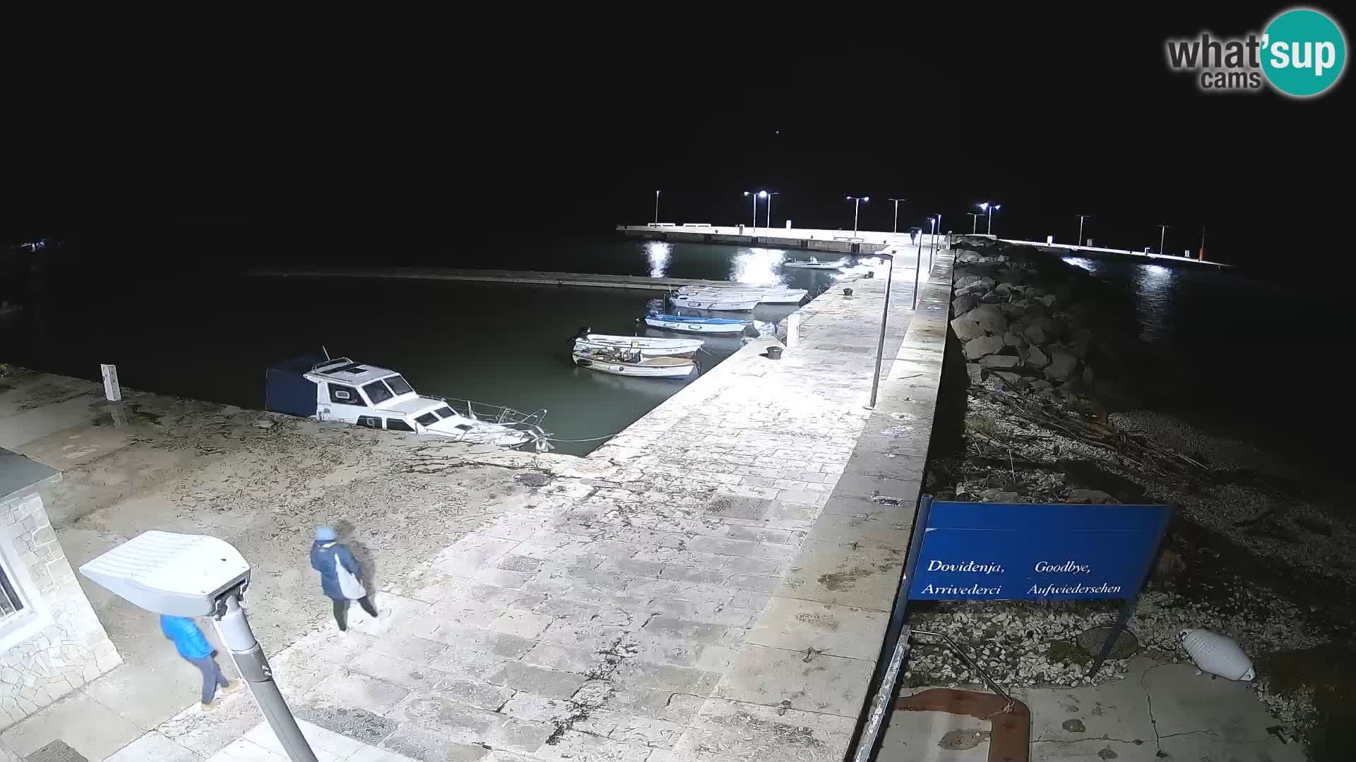 Insel Unije Webcam – Entdecken Sie die Schönheit von Kroatiens verstecktem Juwel