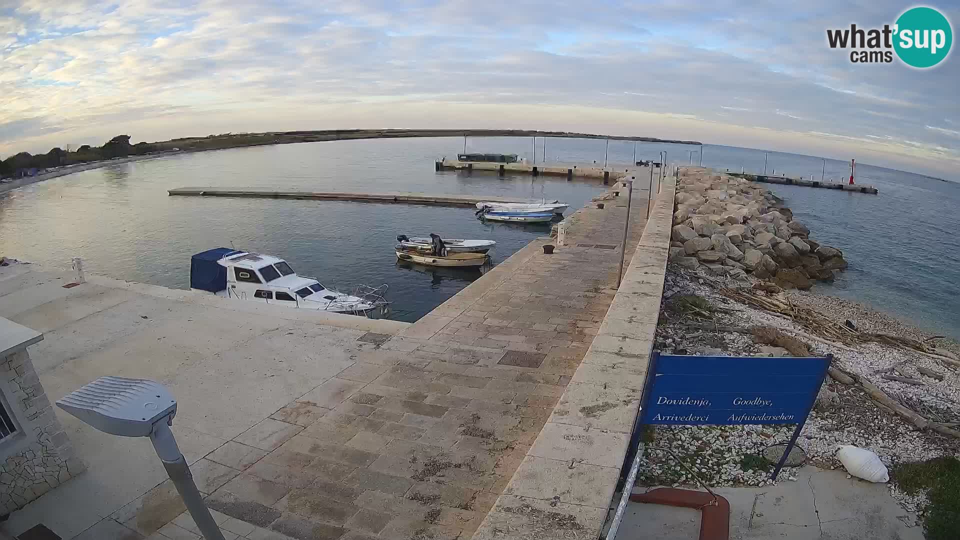 Cámara web de la isla de Unije: explore la belleza de la joya escondida de Croacia