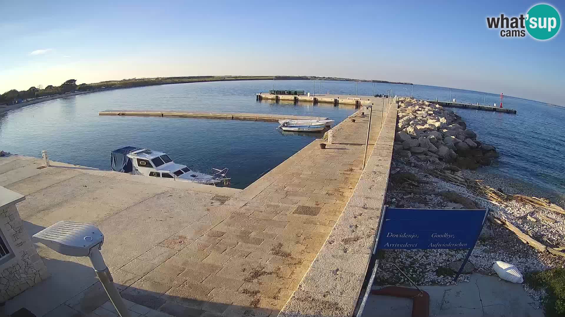 Cámara web de la isla de Unije: explore la belleza de la joya escondida de Croacia