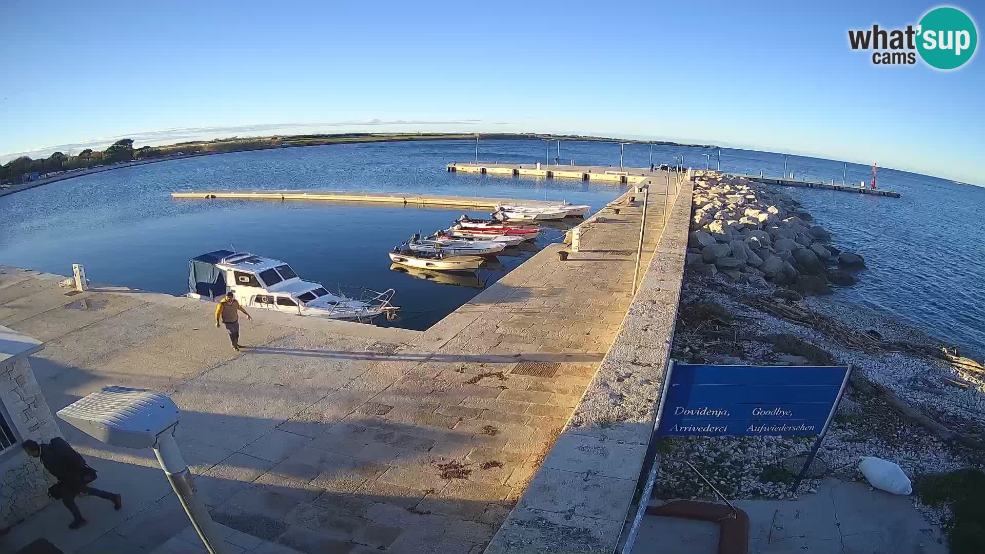 Webcam Isola di Unije – Esplora la bellezza della gemma nascosta della Croazia