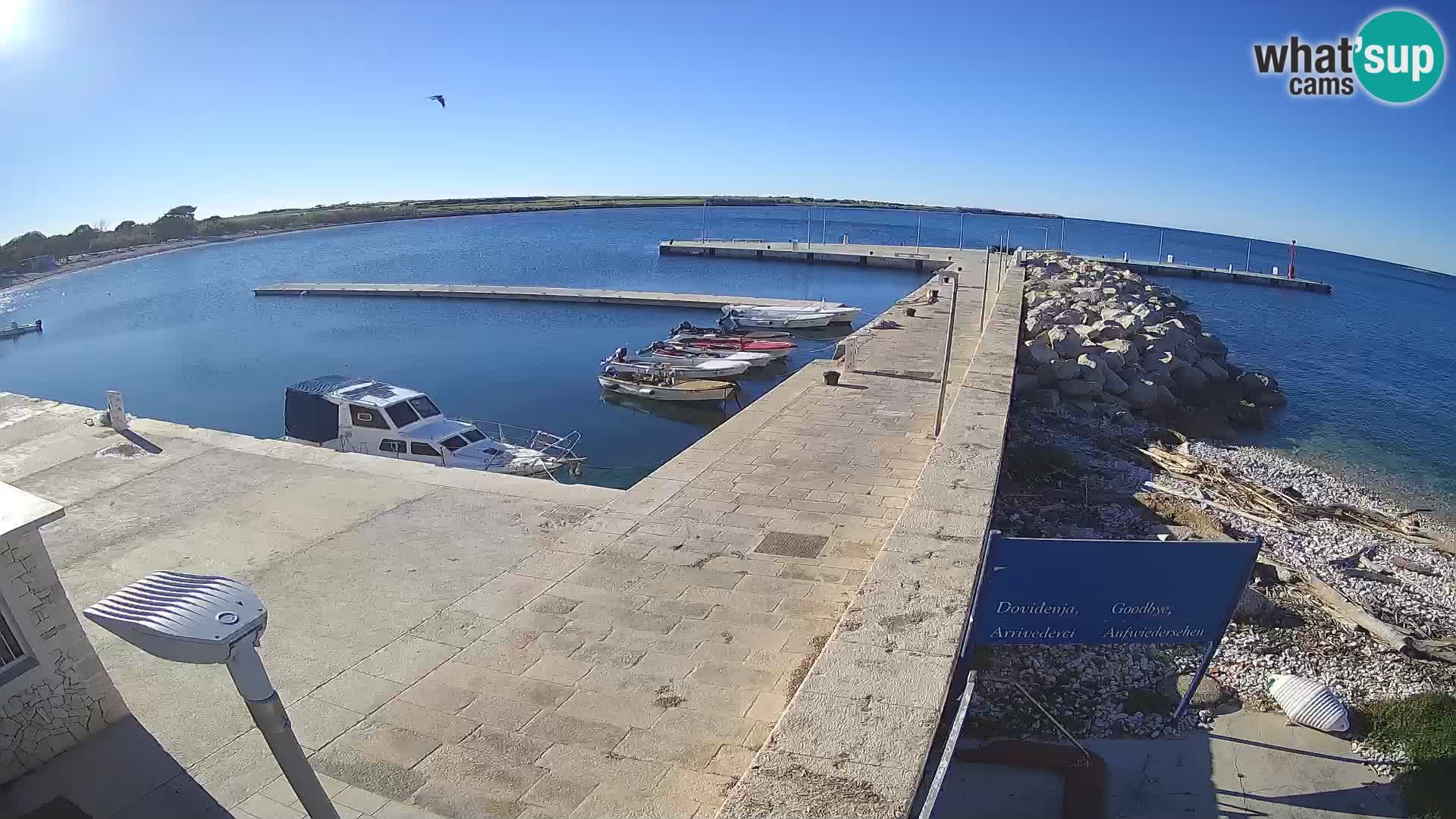 Webcam Isola di Unije – Esplora la bellezza della gemma nascosta della Croazia