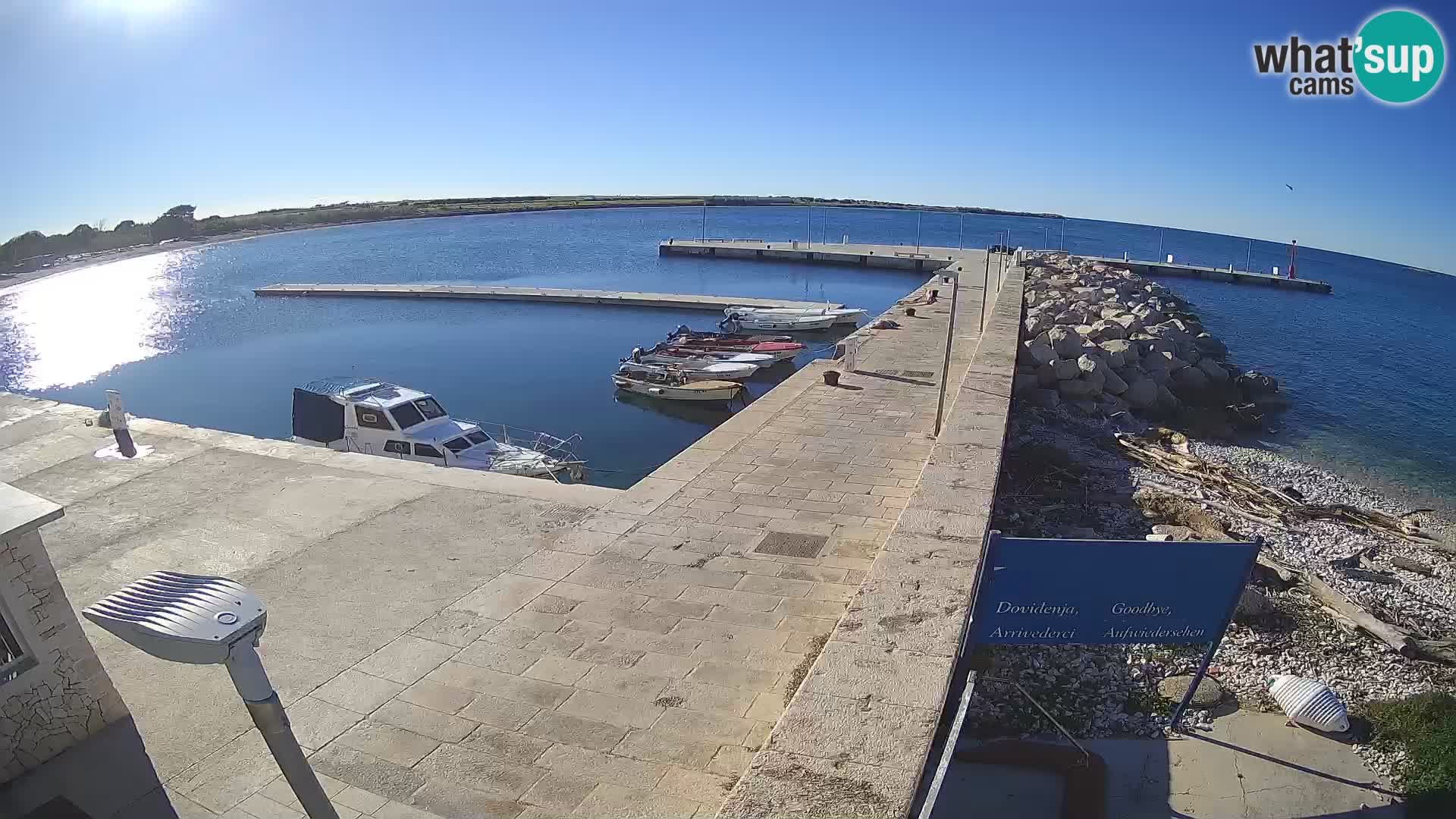 Webcam Isola di Unije – Esplora la bellezza della gemma nascosta della Croazia