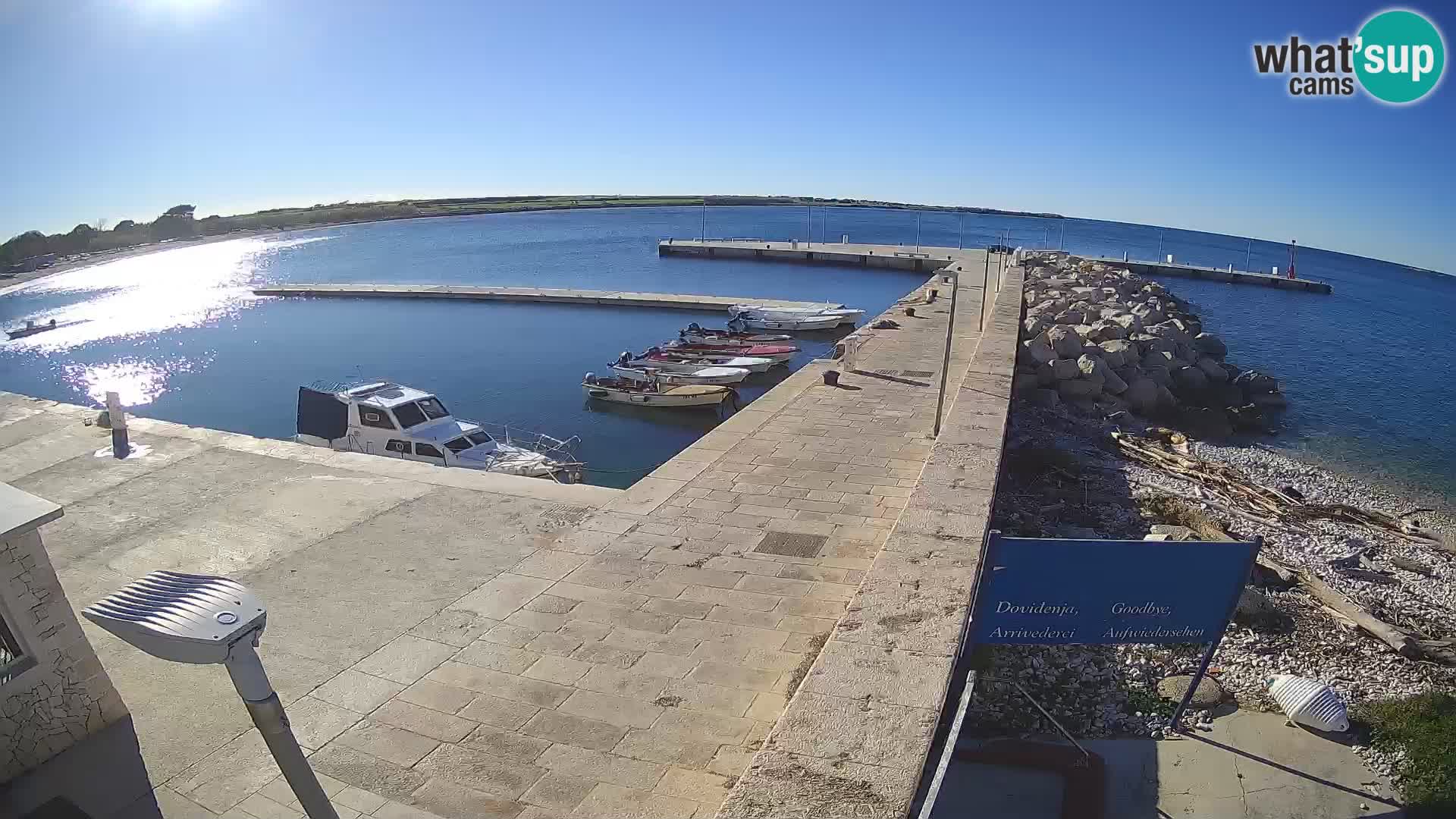 Webcam Isola di Unije – Esplora la bellezza della gemma nascosta della Croazia