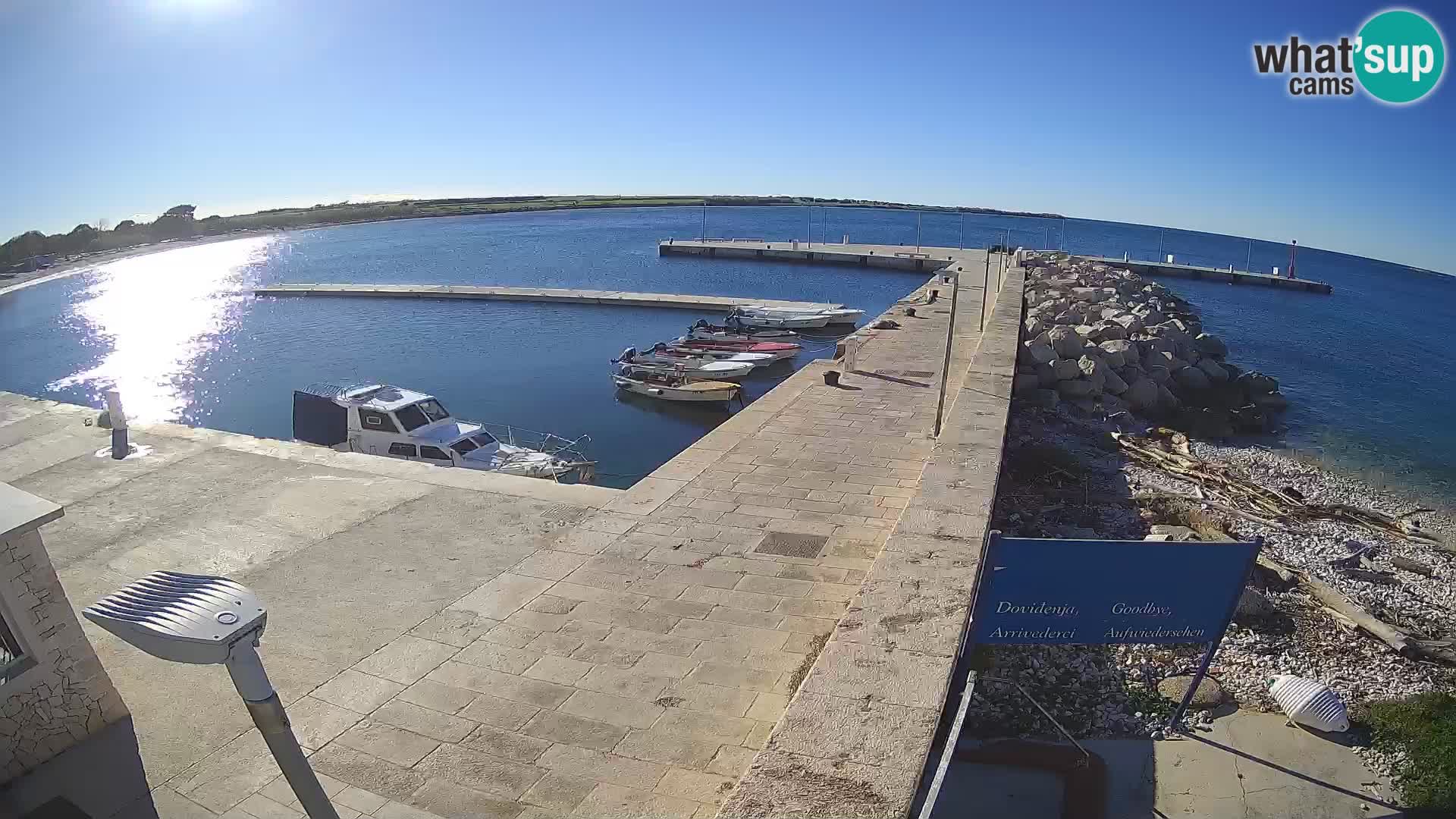 Cámara web de la isla de Unije: explore la belleza de la joya escondida de Croacia