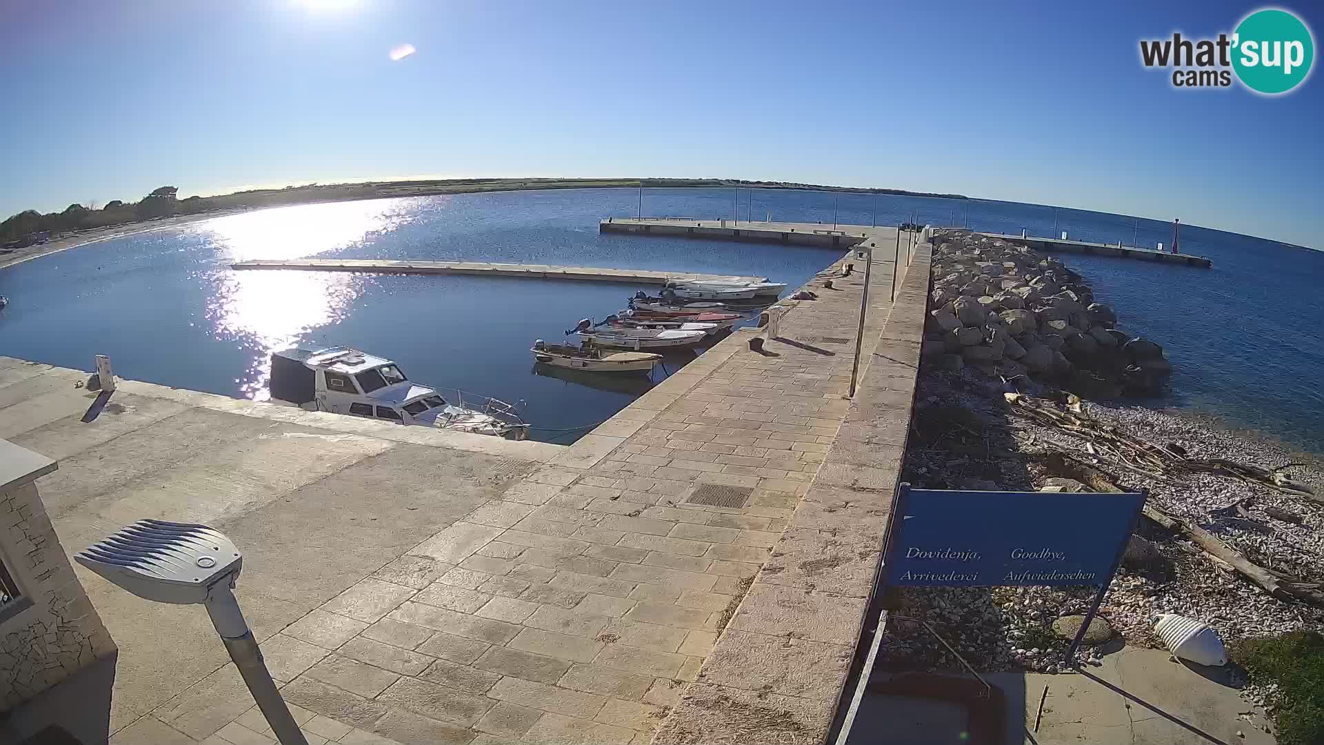 Cámara web de la isla de Unije: explore la belleza de la joya escondida de Croacia