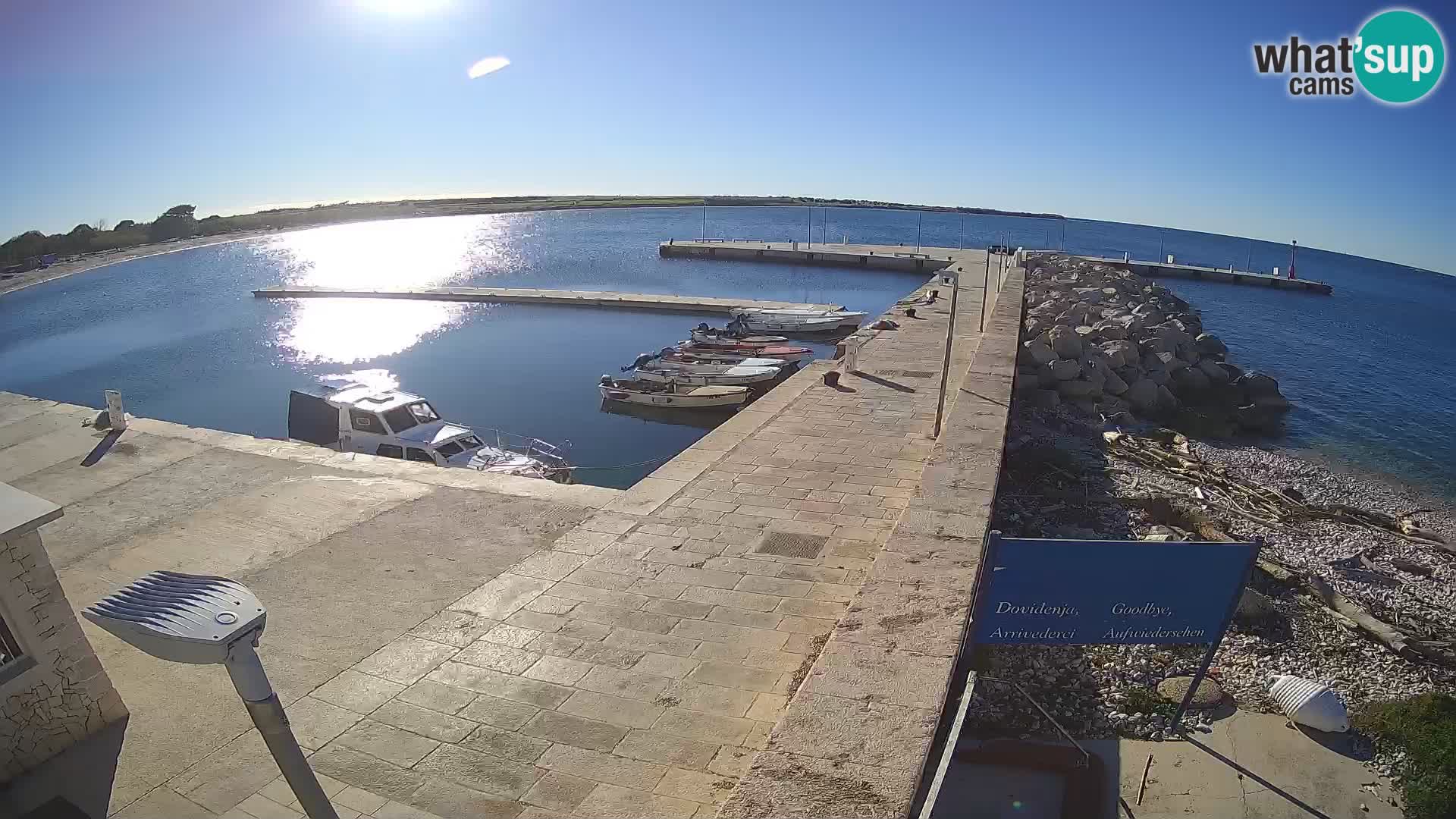 Cámara web de la isla de Unije: explore la belleza de la joya escondida de Croacia