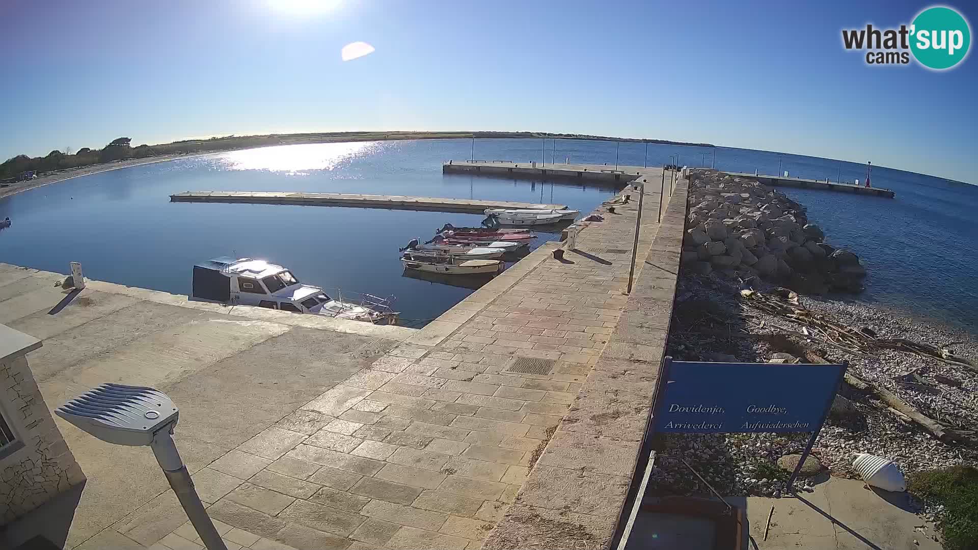 Cámara web de la isla de Unije: explore la belleza de la joya escondida de Croacia