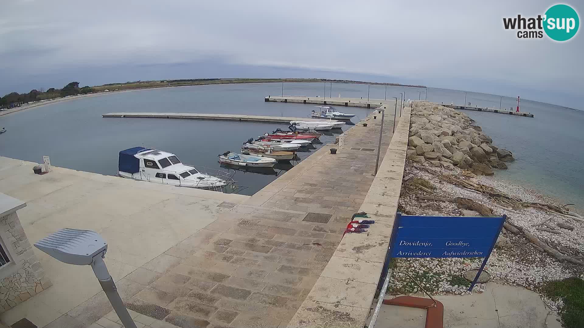 Webcam Isola di Unije – Esplora la bellezza della gemma nascosta della Croazia