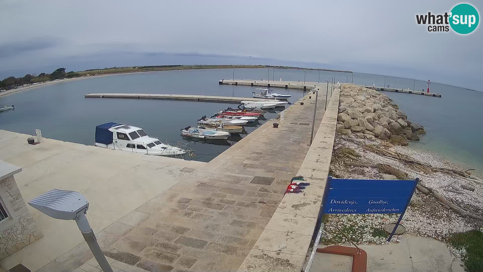 Webcam Isola di Unije – Esplora la bellezza della gemma nascosta della Croazia