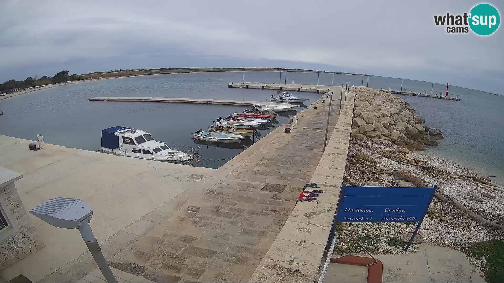 Webcam Isola di Unije – Esplora la bellezza della gemma nascosta della Croazia