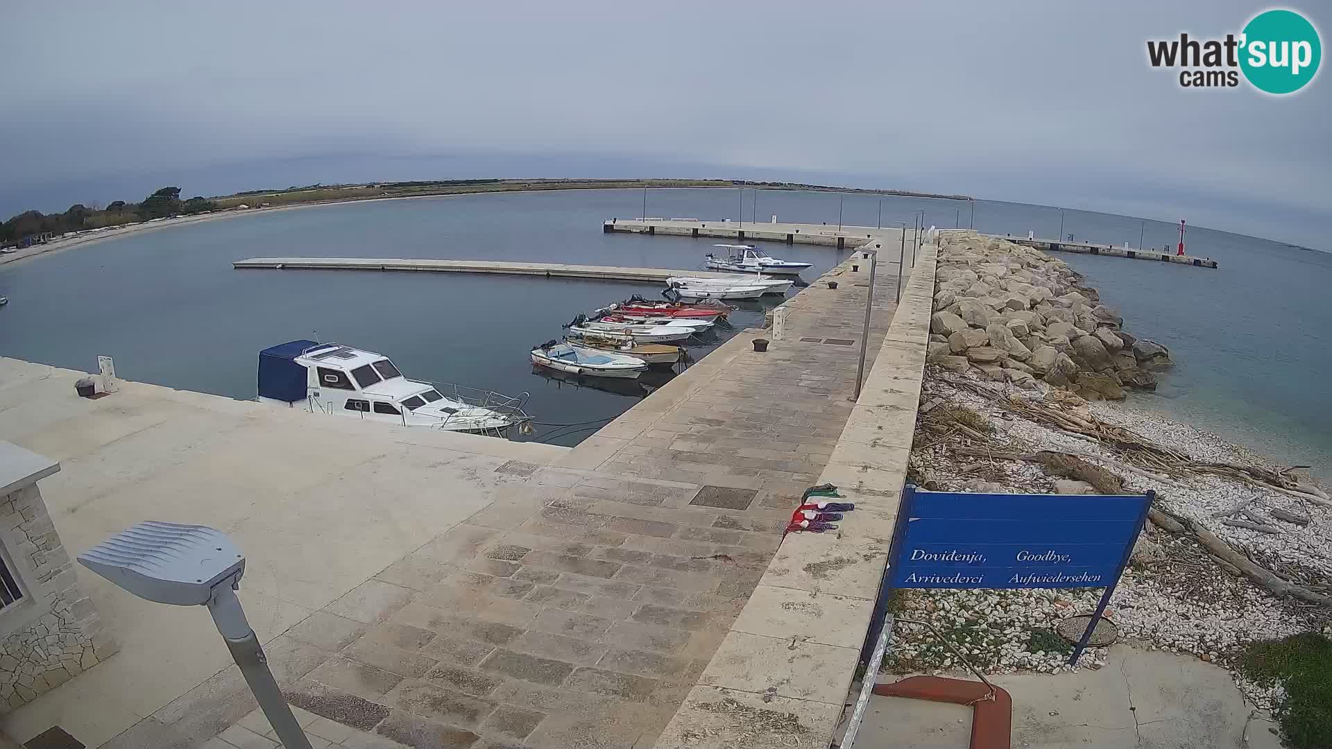 Webcam Isola di Unije – Esplora la bellezza della gemma nascosta della Croazia