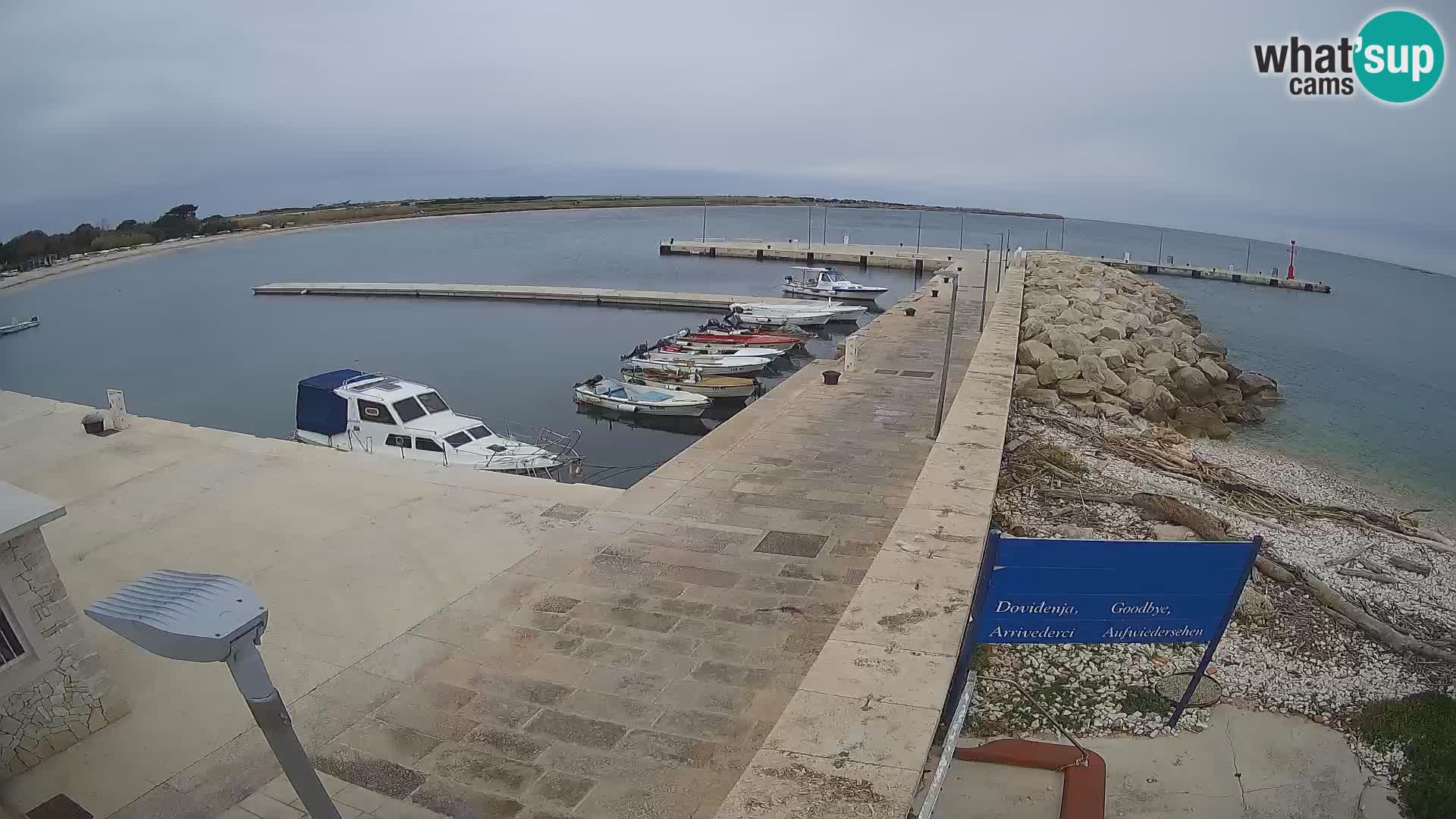 Webcam Isola di Unije – Esplora la bellezza della gemma nascosta della Croazia