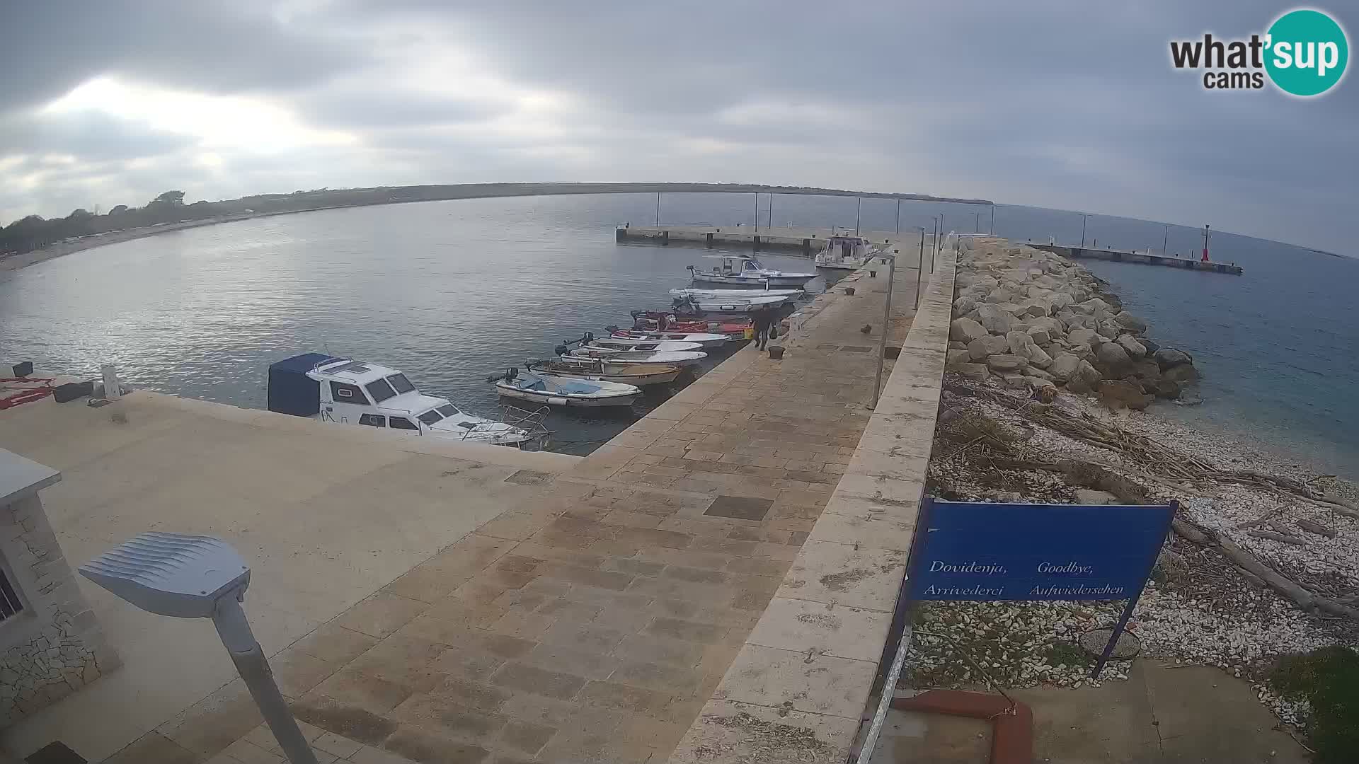 Webcam Isola di Unije – Esplora la bellezza della gemma nascosta della Croazia