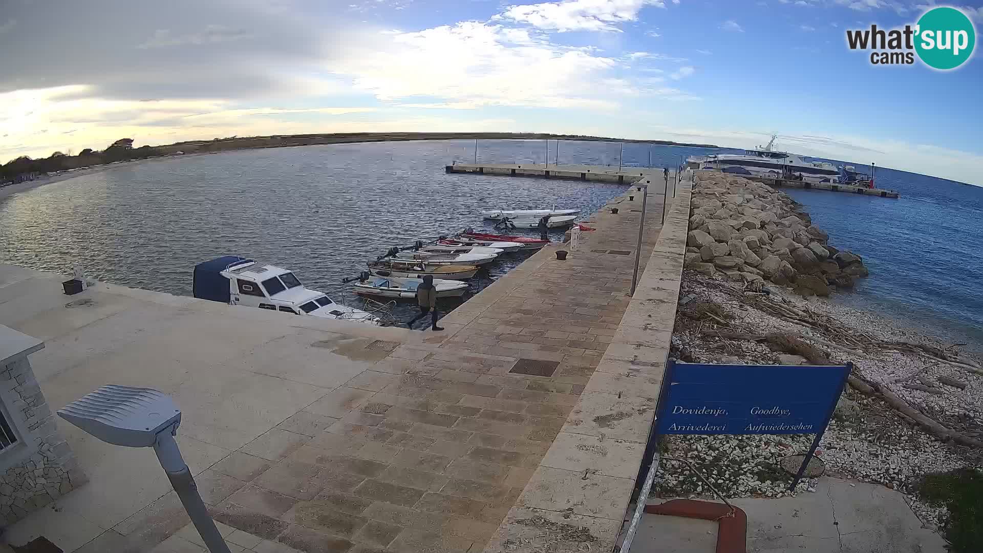 Webcam Isola di Unije – Esplora la bellezza della gemma nascosta della Croazia