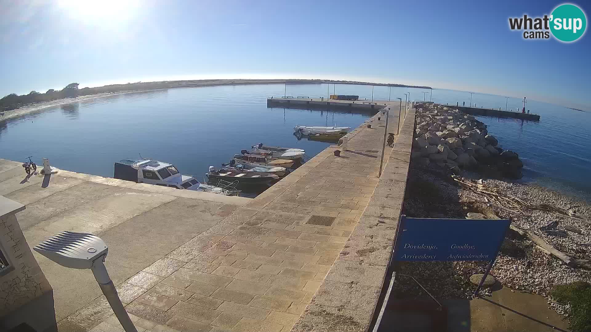 Cámara web de la isla de Unije: explore la belleza de la joya escondida de Croacia