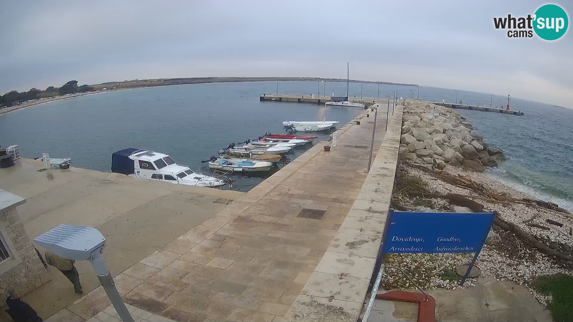 Webcam de l’île d’Unije – Explorez la beauté du joyau caché de la Croatie