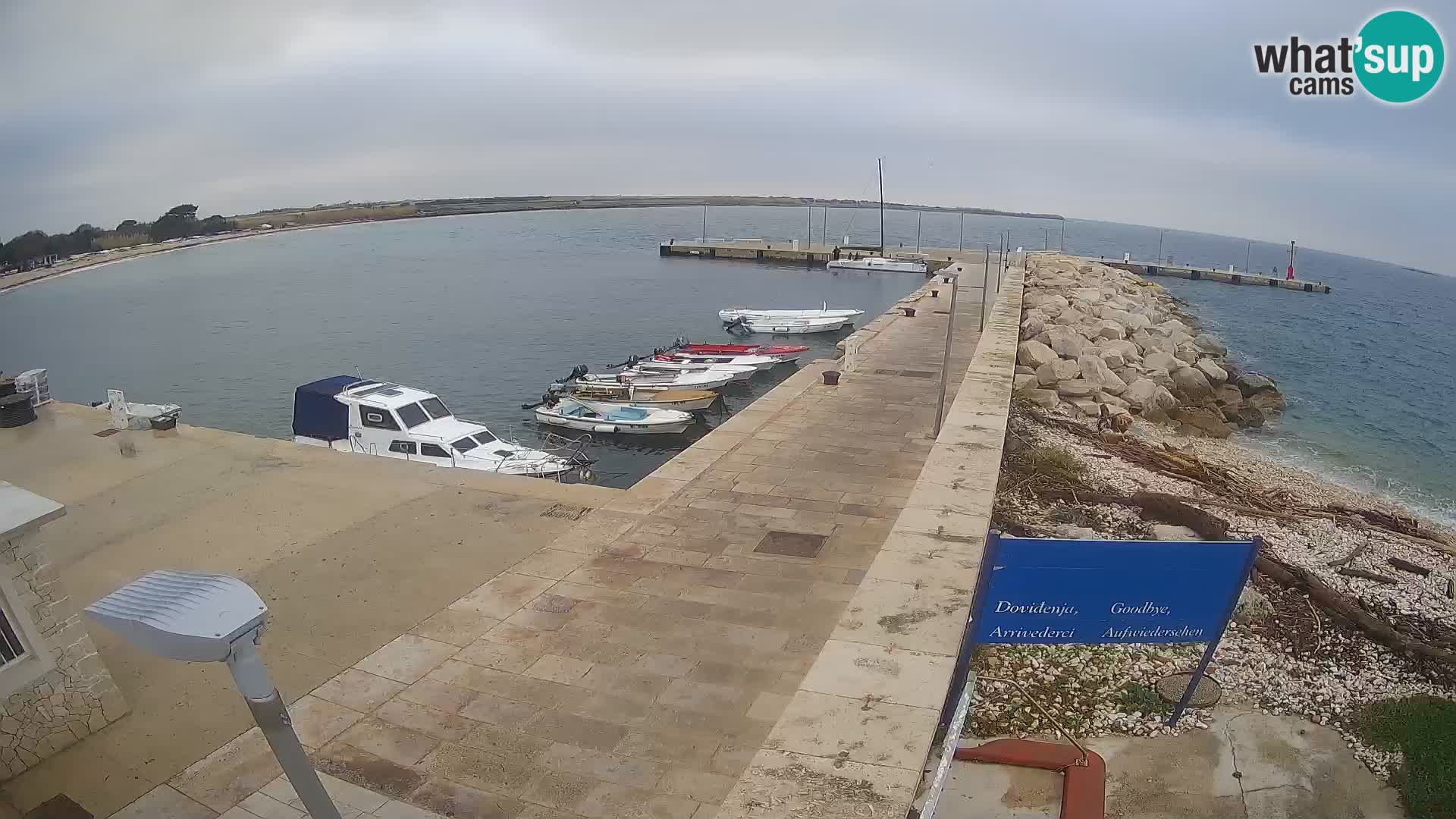 Webcam Isola di Unije – Esplora la bellezza della gemma nascosta della Croazia