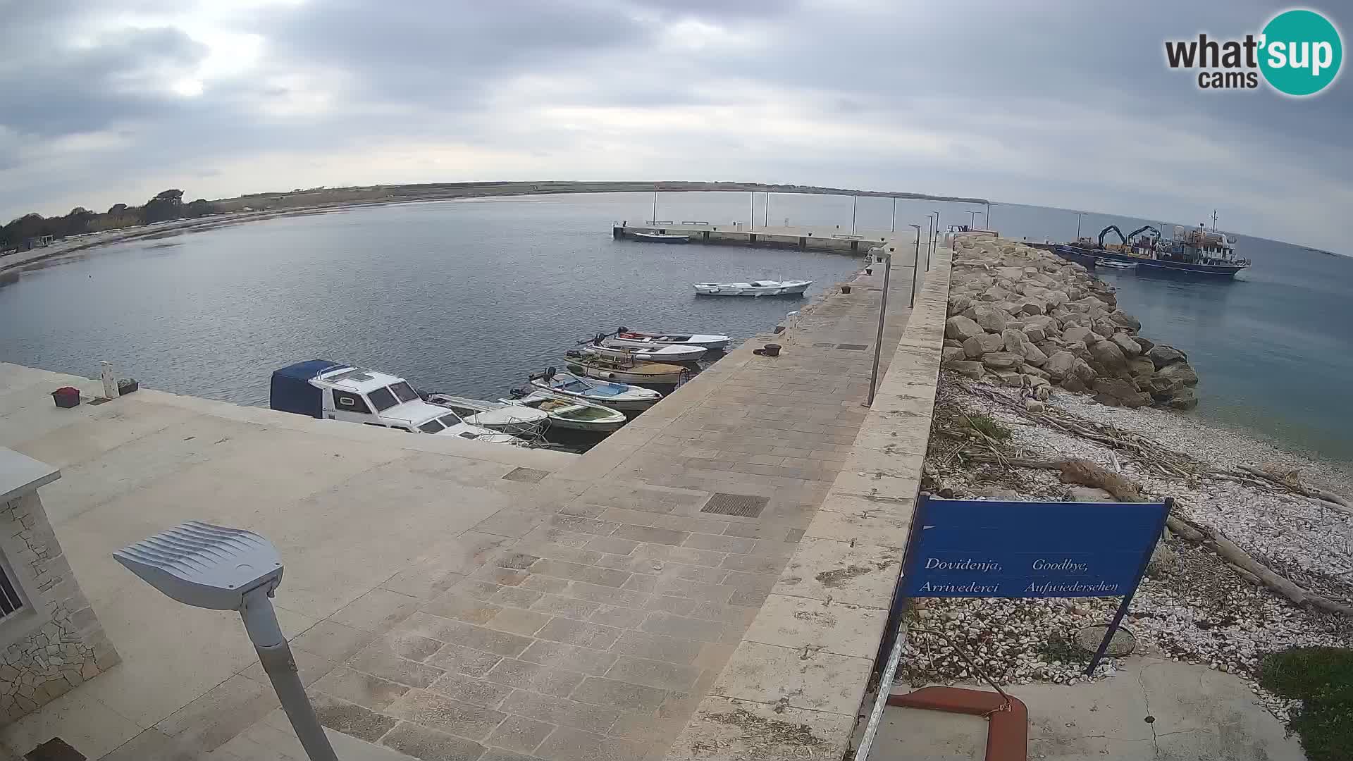 Webcam Isola di Unije – Esplora la bellezza della gemma nascosta della Croazia