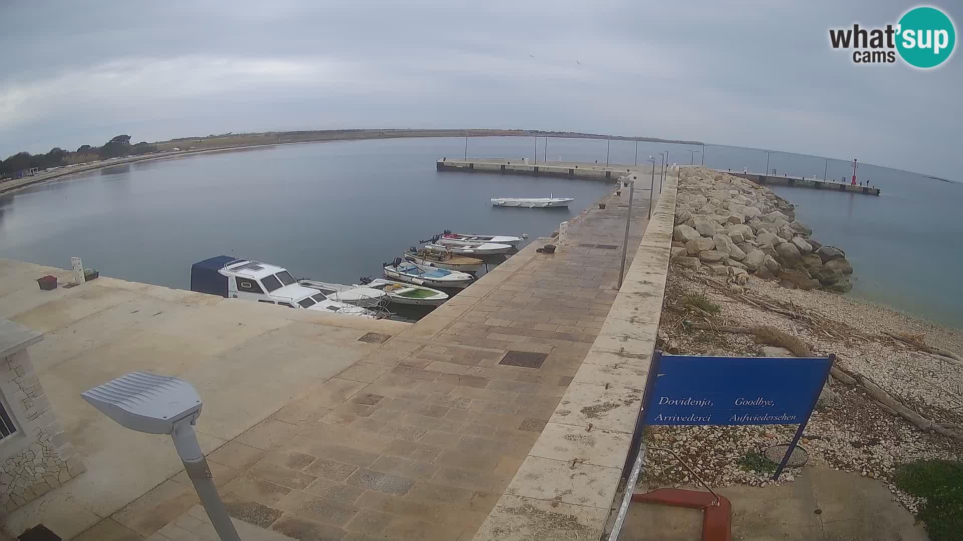 Webcam Isola di Unije – Esplora la bellezza della gemma nascosta della Croazia