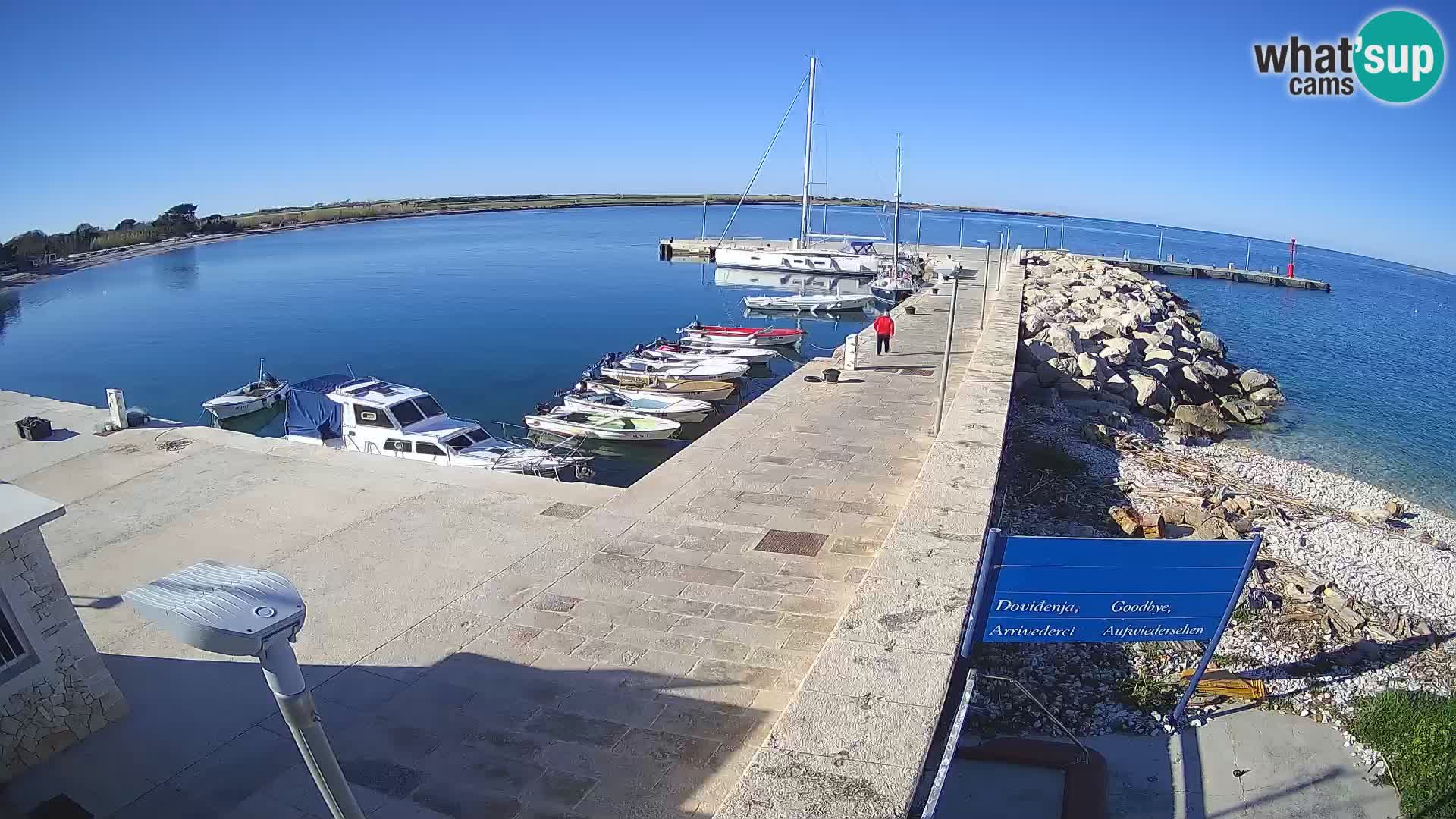 Webcam Isola di Unije – Esplora la bellezza della gemma nascosta della Croazia