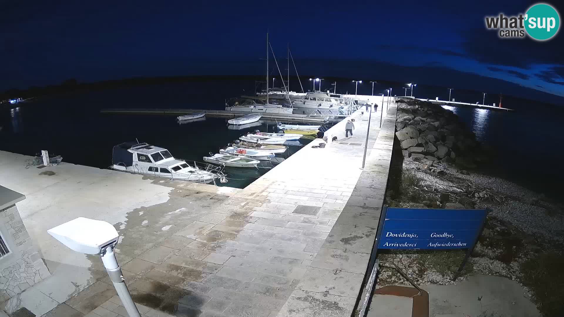 Webcam Isola di Unije – Esplora la bellezza della gemma nascosta della Croazia