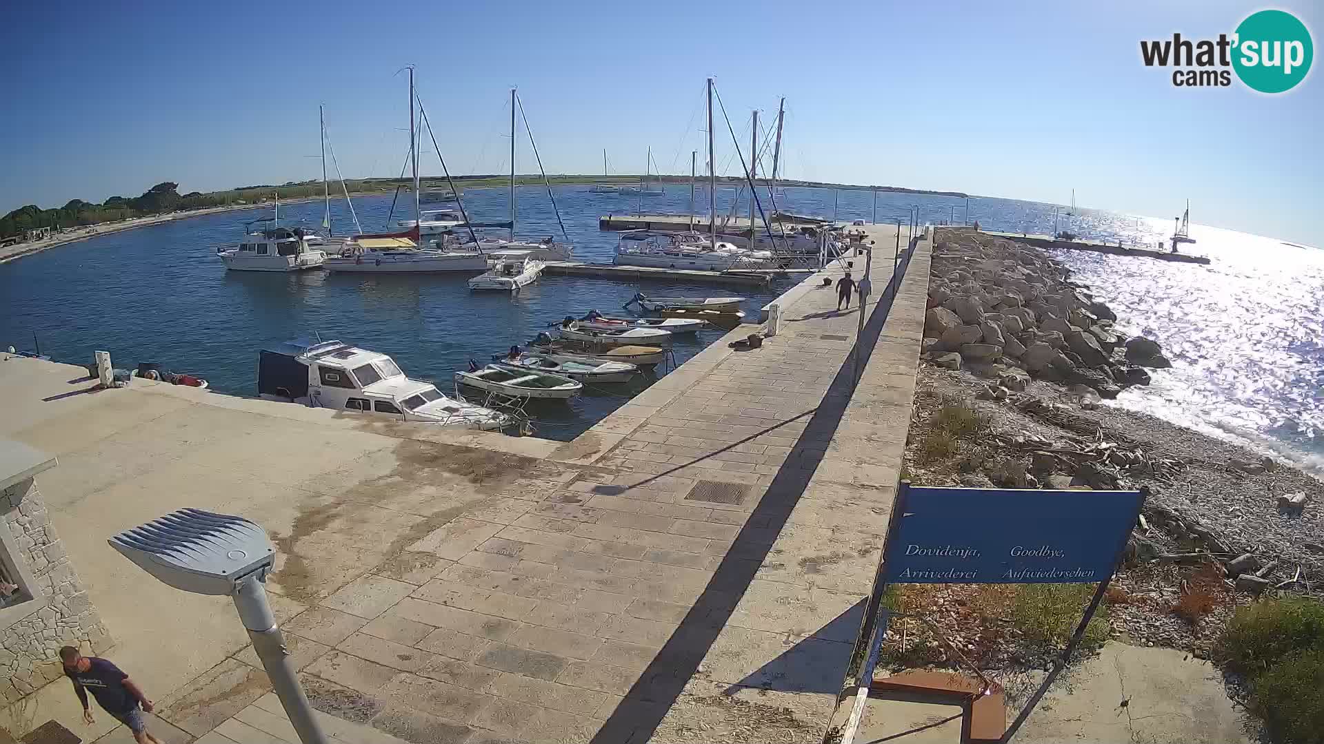 Cámara web de la isla de Unije: explore la belleza de la joya escondida de Croacia