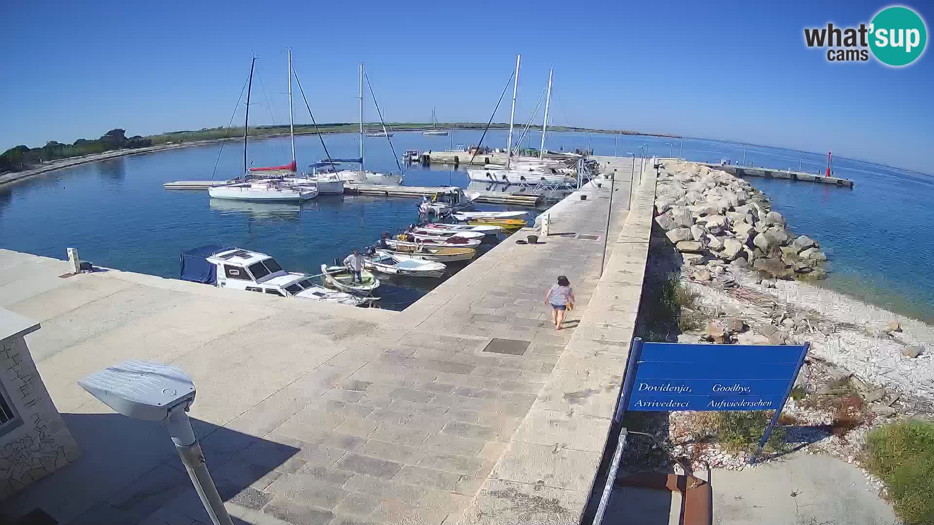 Cámara web de la isla de Unije: explore la belleza de la joya escondida de Croacia