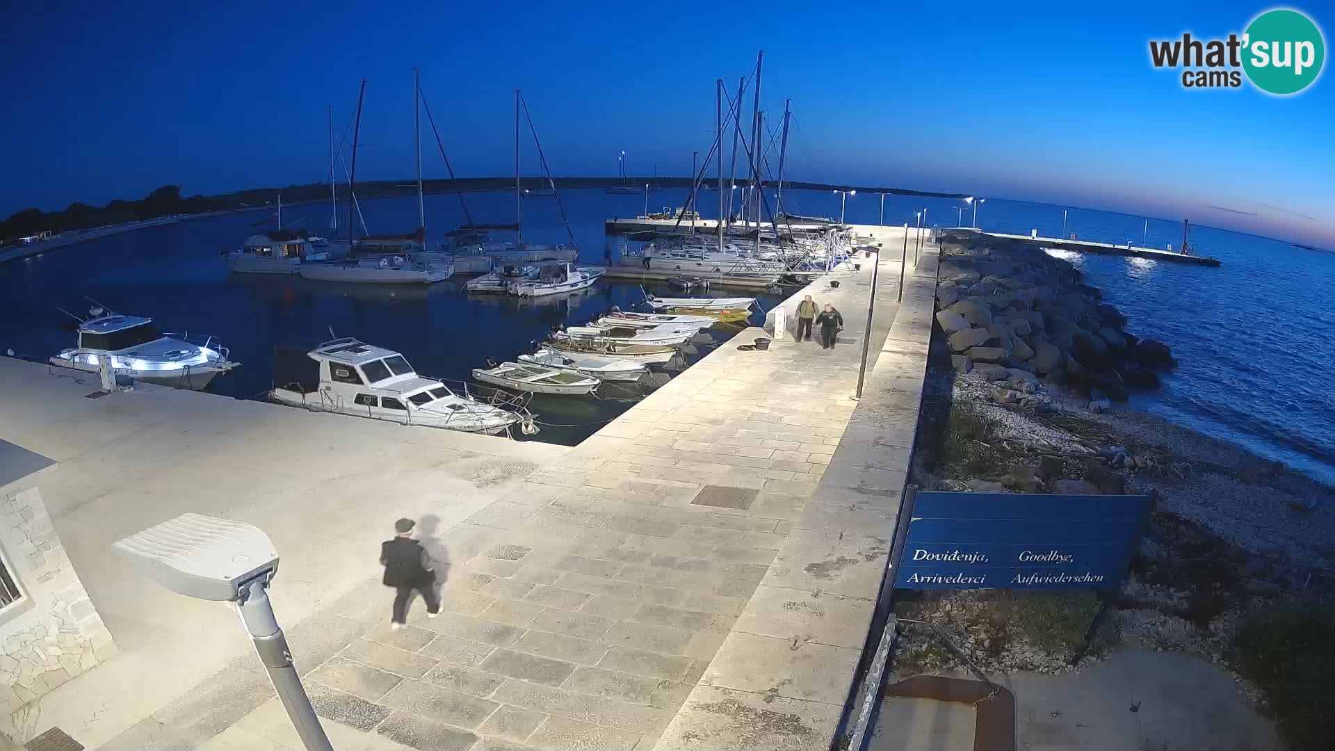 Cámara web de la isla de Unije: explore la belleza de la joya escondida de Croacia