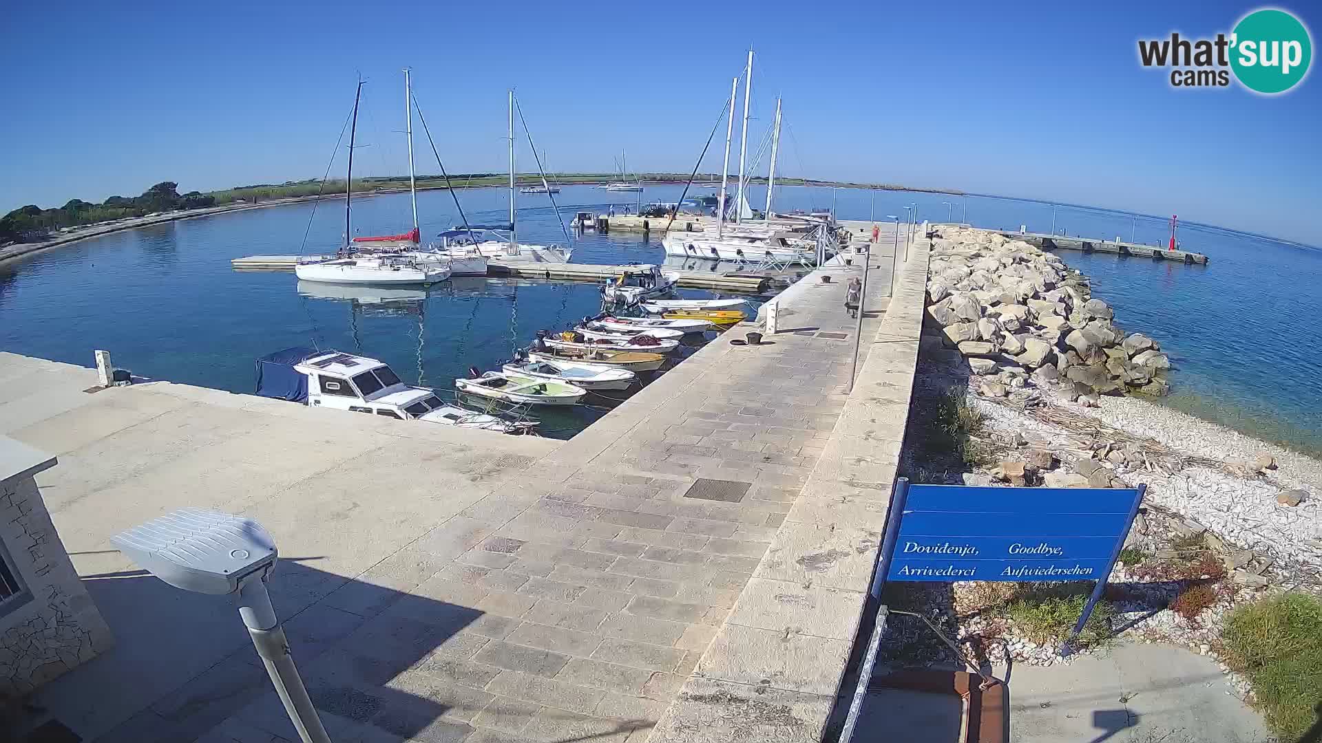 Webcam Isola di Unije – Esplora la bellezza della gemma nascosta della Croazia
