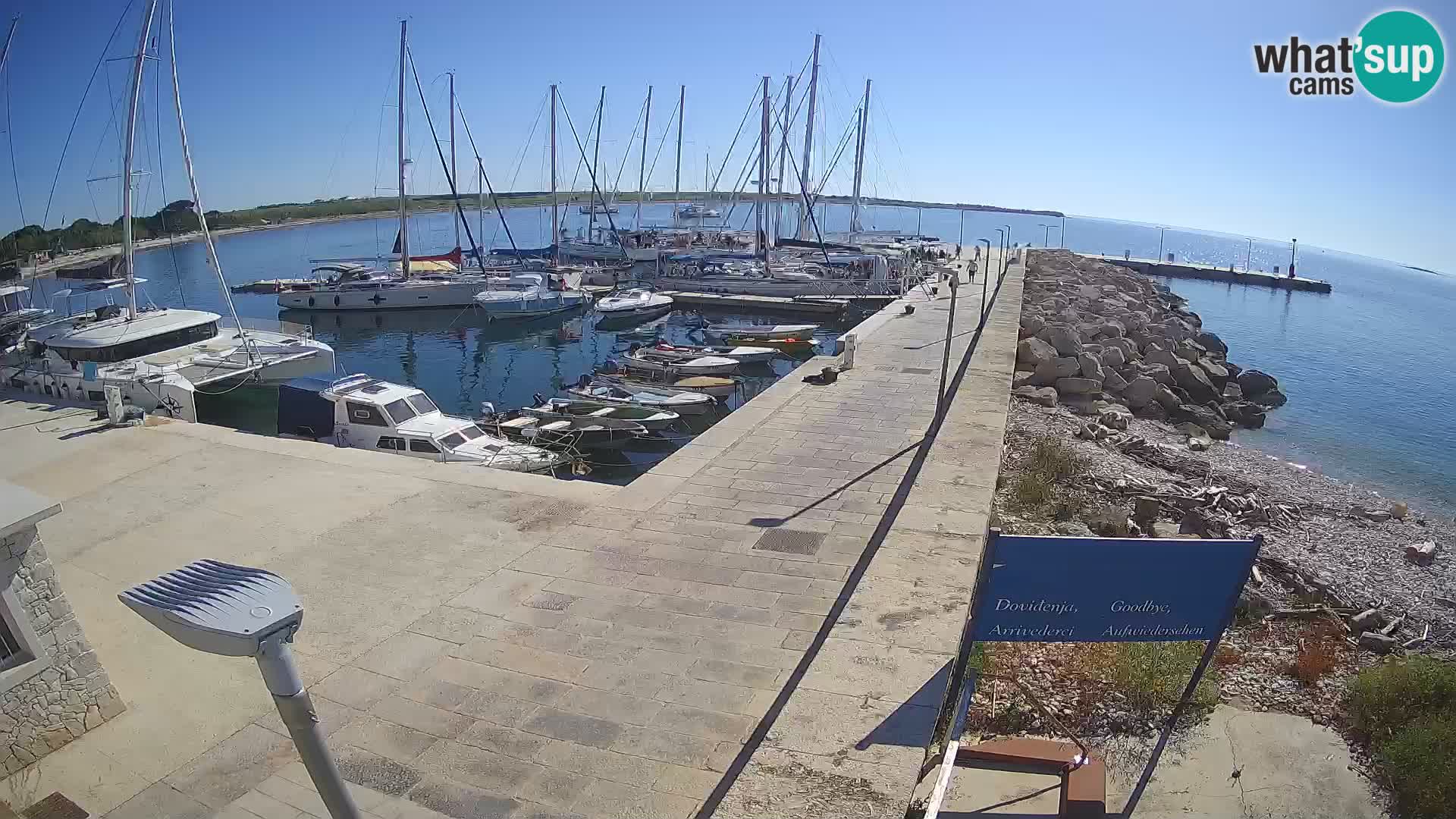 Unije Island Webcam – Explore the Beauty of Croatia’s Hidden Gem