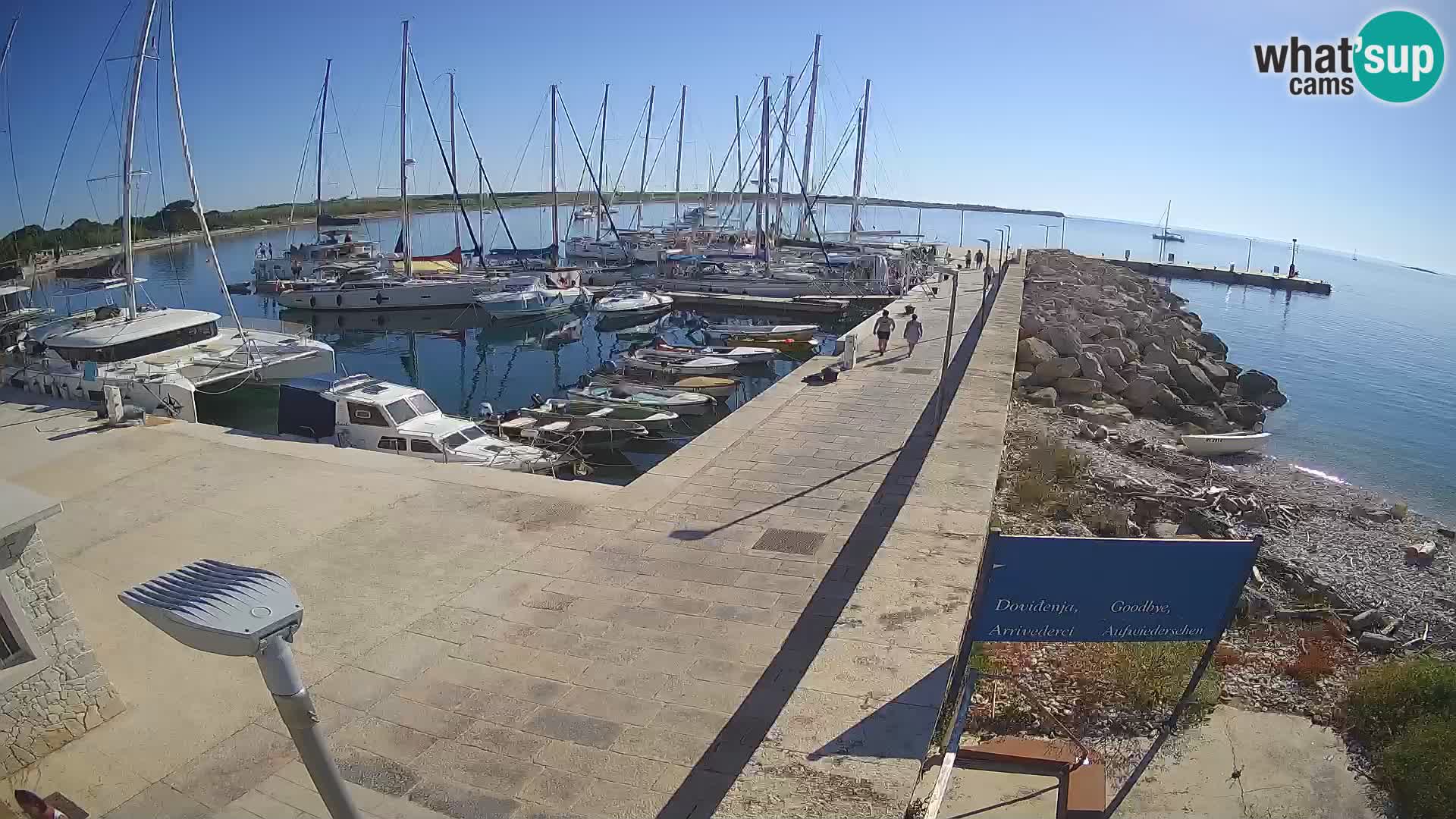 Webcam Isola di Unije – Esplora la bellezza della gemma nascosta della Croazia