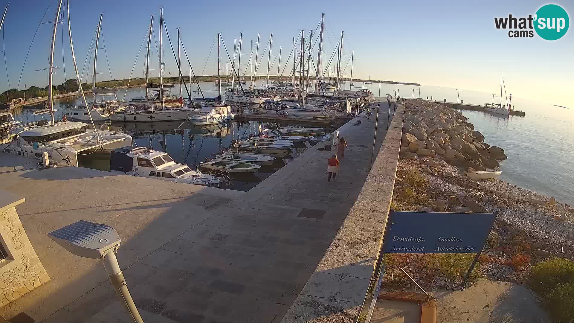 Webcam Isola di Unije – Esplora la bellezza della gemma nascosta della Croazia