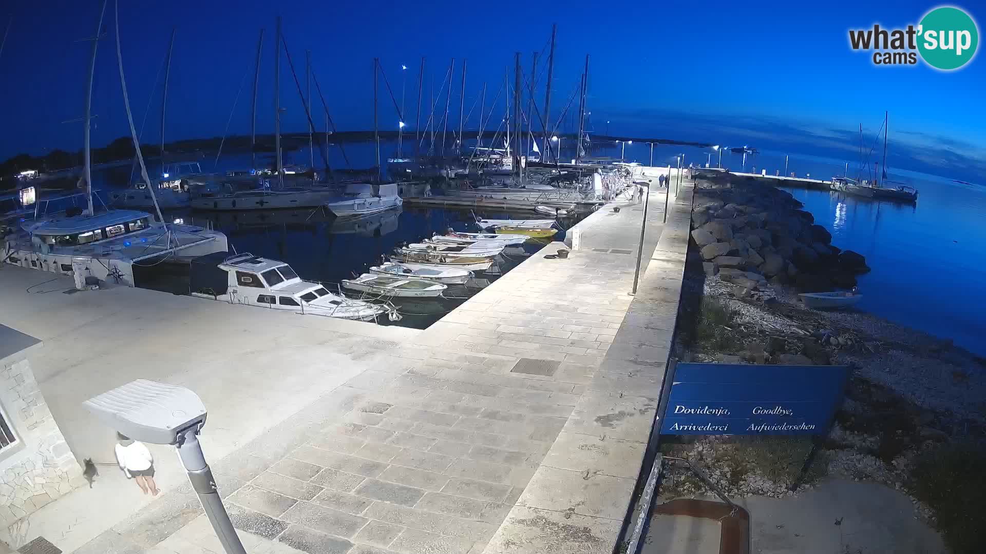 Cámara web de la isla de Unije: explore la belleza de la joya escondida de Croacia