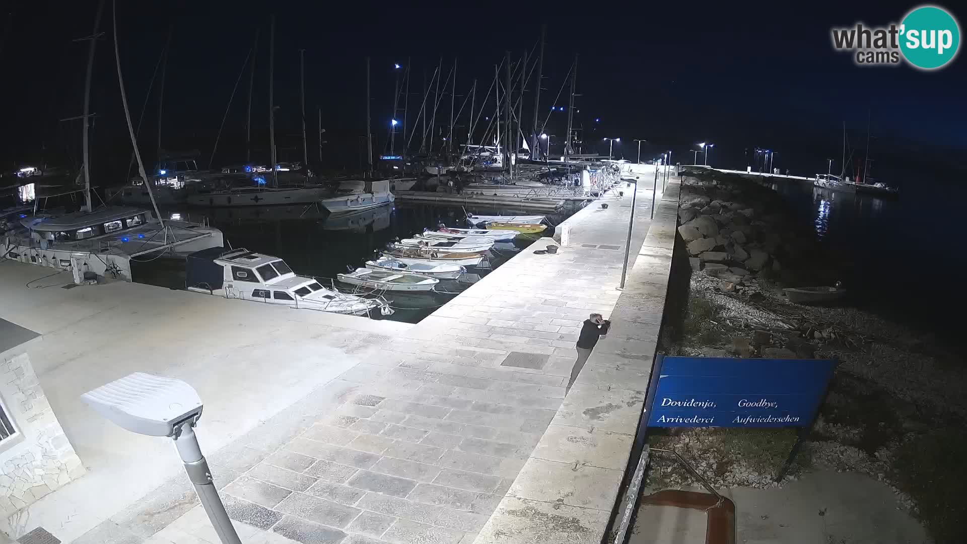 Cámara web de la isla de Unije: explore la belleza de la joya escondida de Croacia