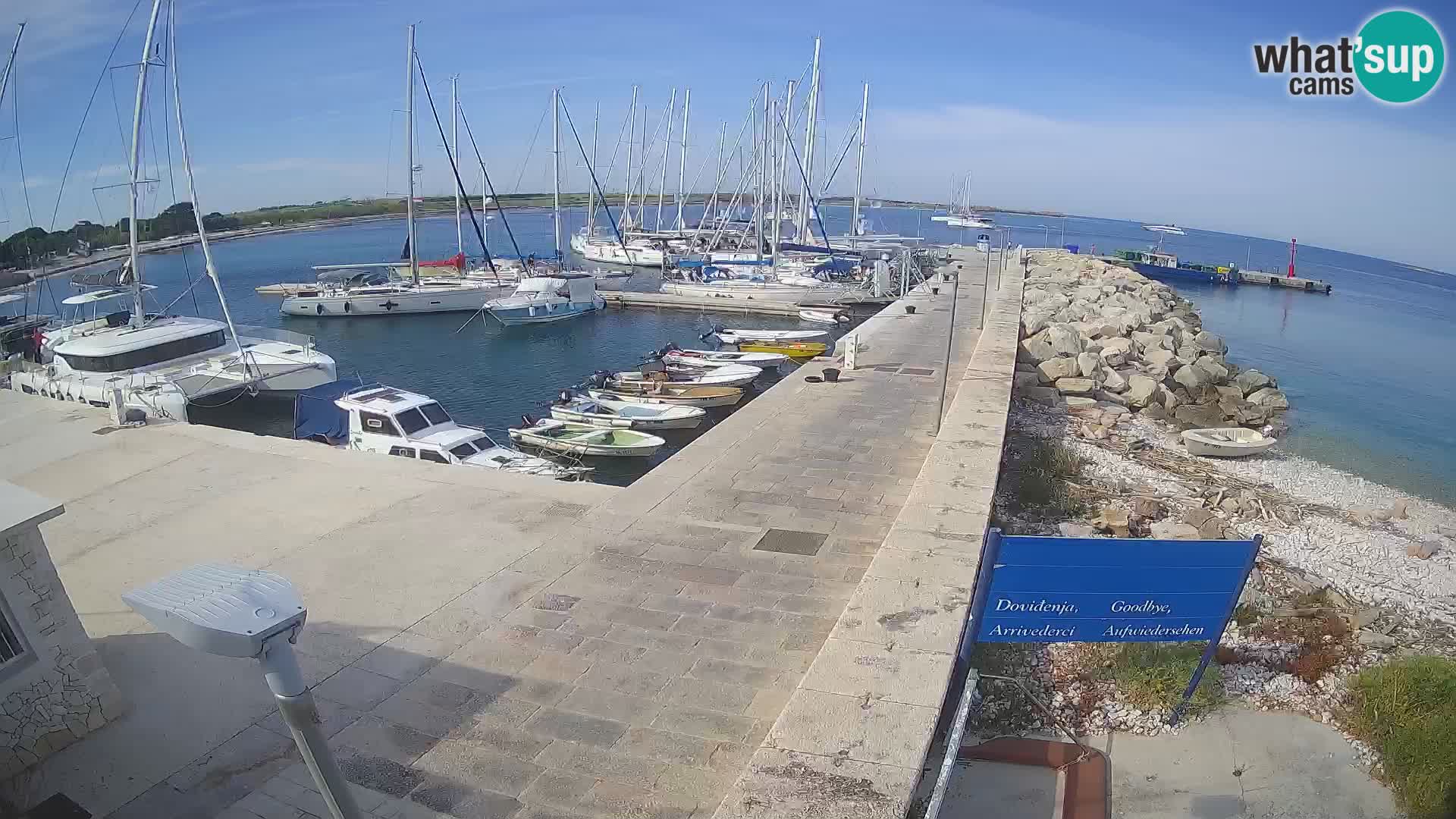 Cámara web de la isla de Unije: explore la belleza de la joya escondida de Croacia