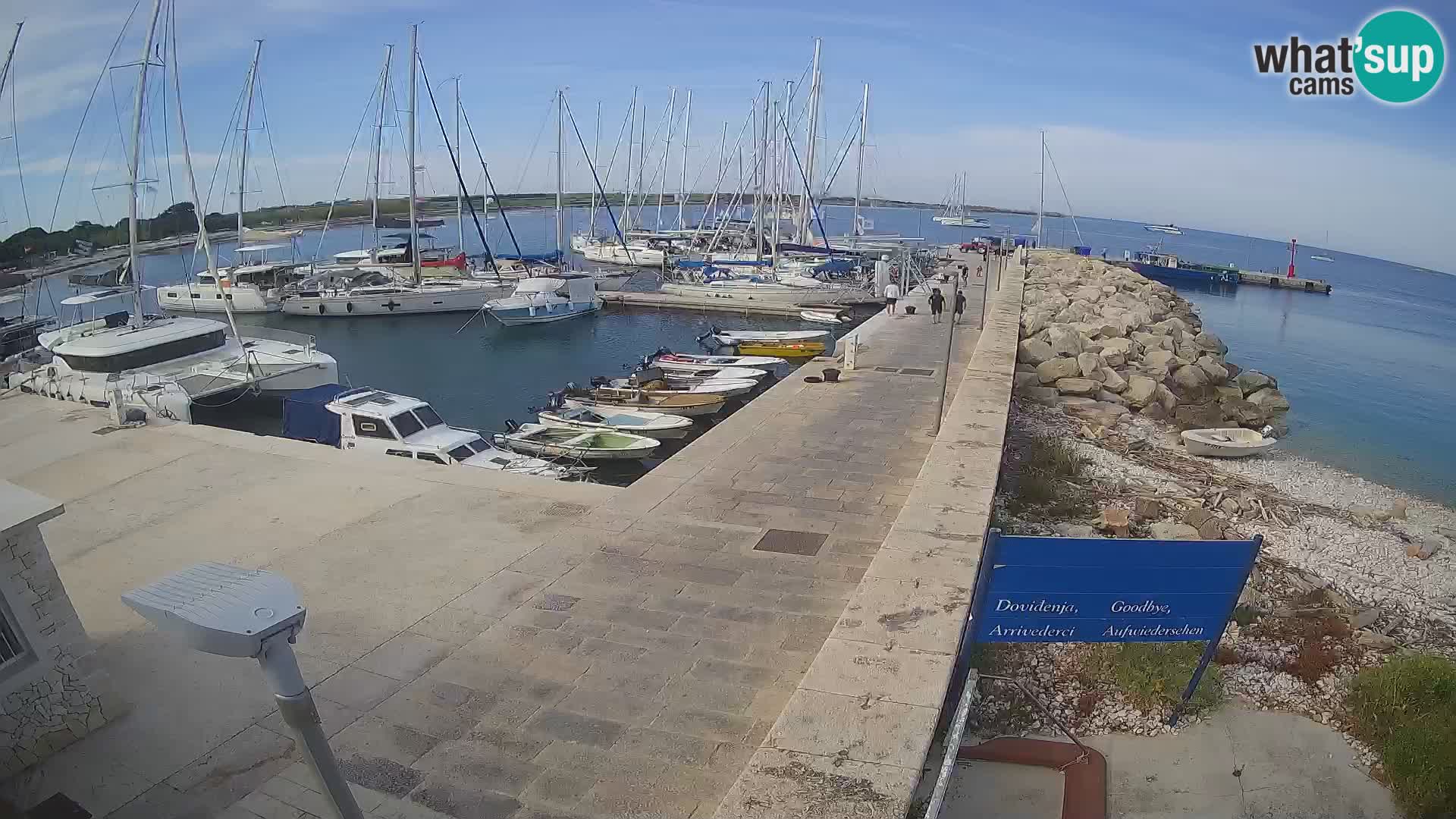 Webcam Isola di Unije – Esplora la bellezza della gemma nascosta della Croazia