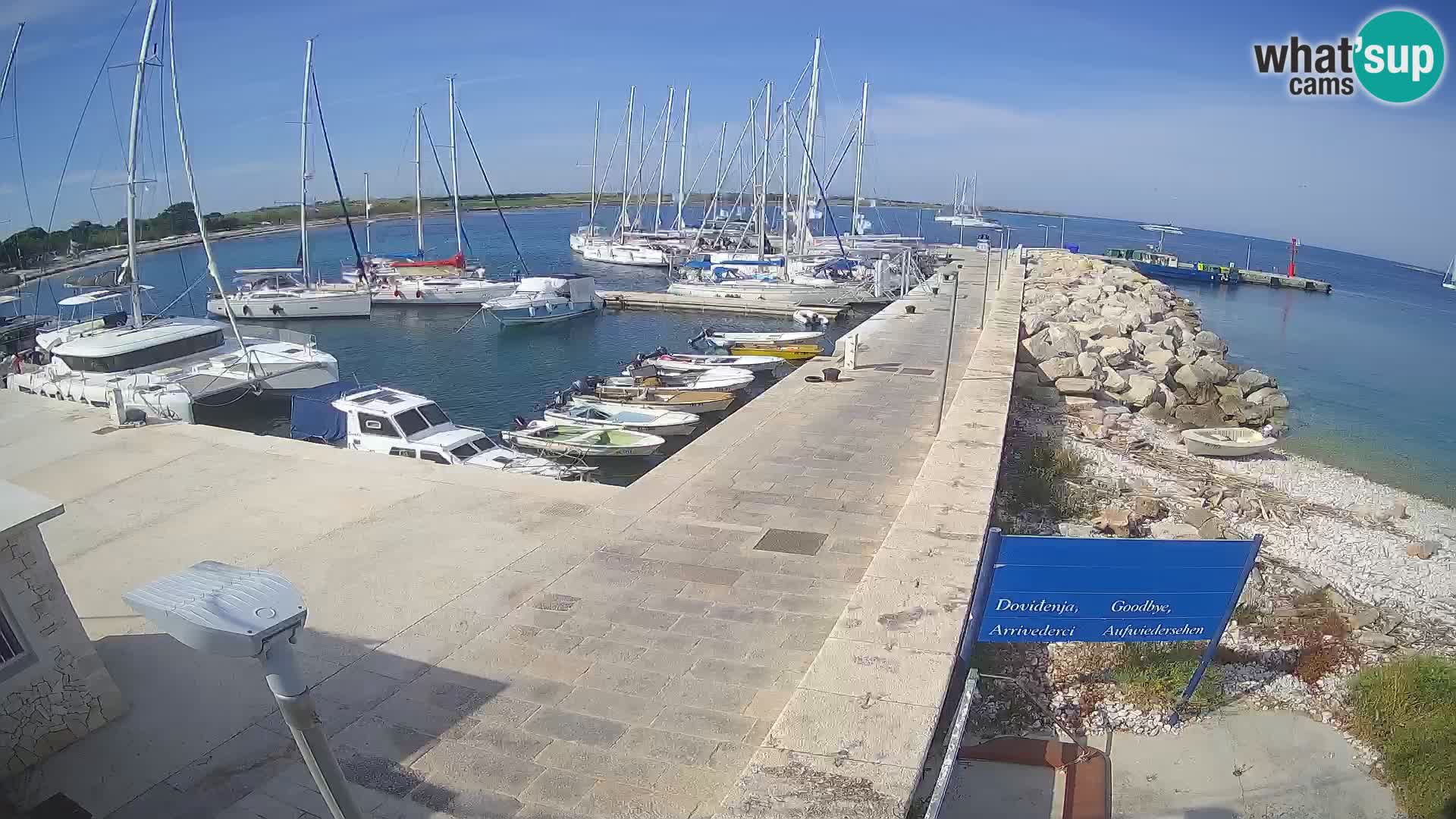 Webcam Isola di Unije – Esplora la bellezza della gemma nascosta della Croazia