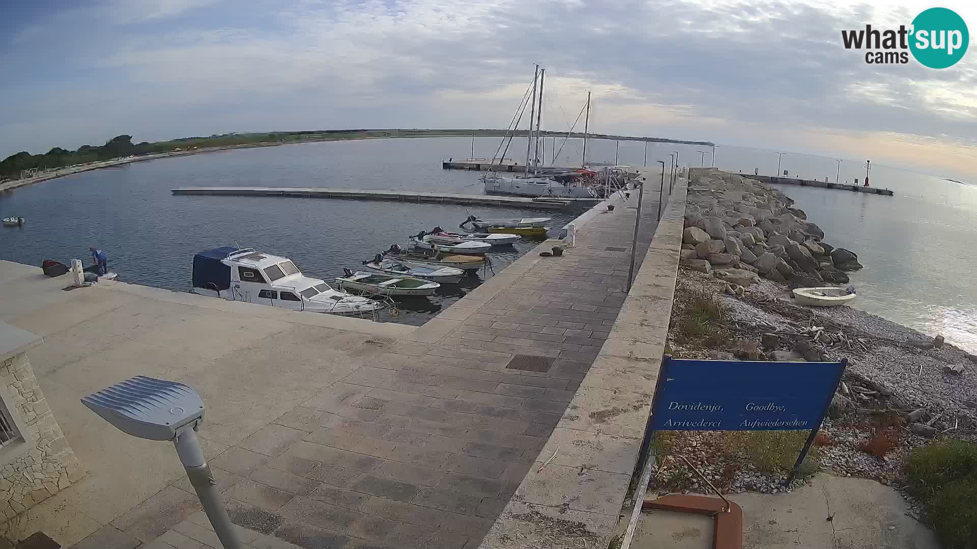 Webcam Isola di Unije – Esplora la bellezza della gemma nascosta della Croazia