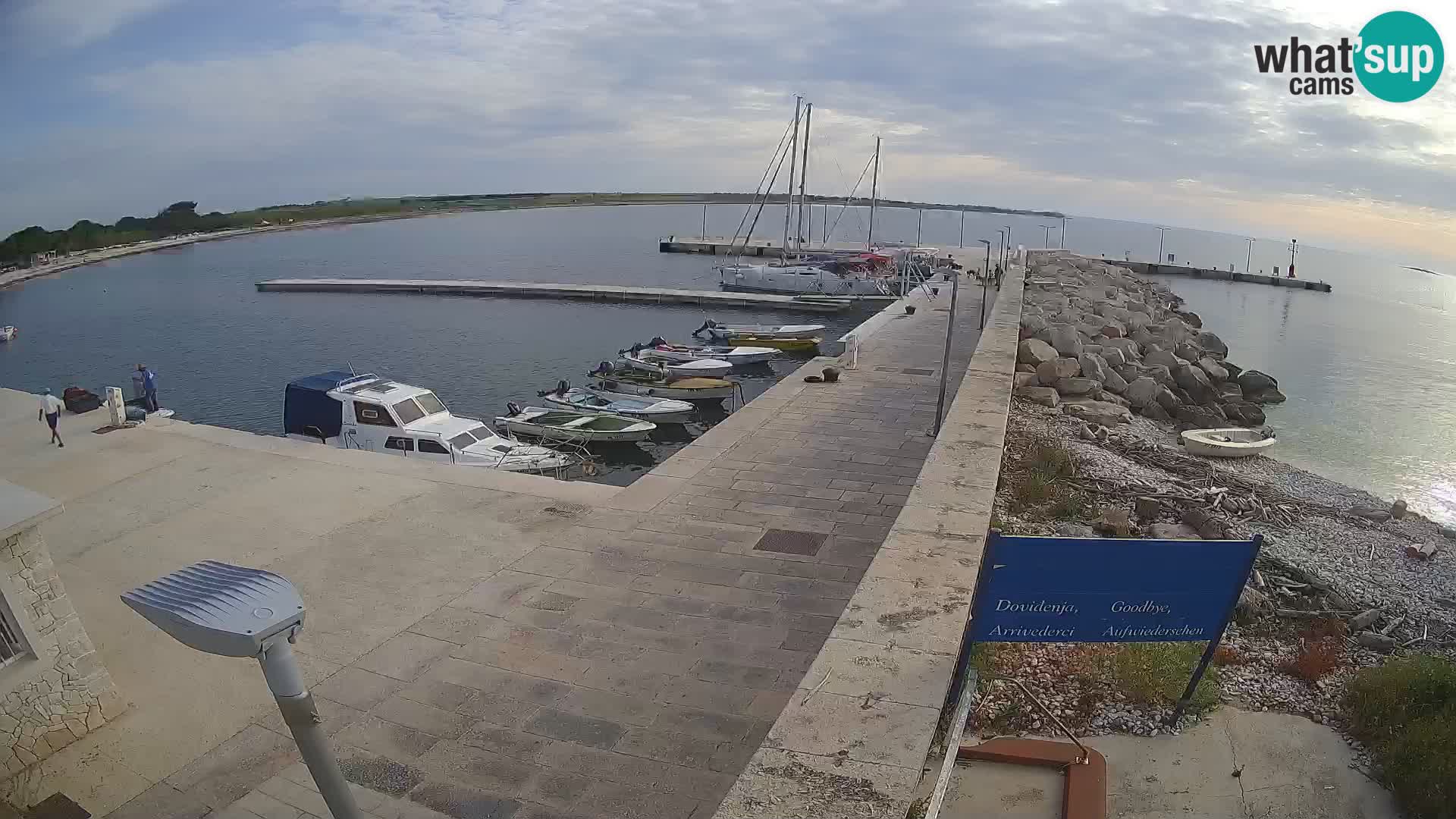 Webcam de l’île d’Unije – Explorez la beauté du joyau caché de la Croatie