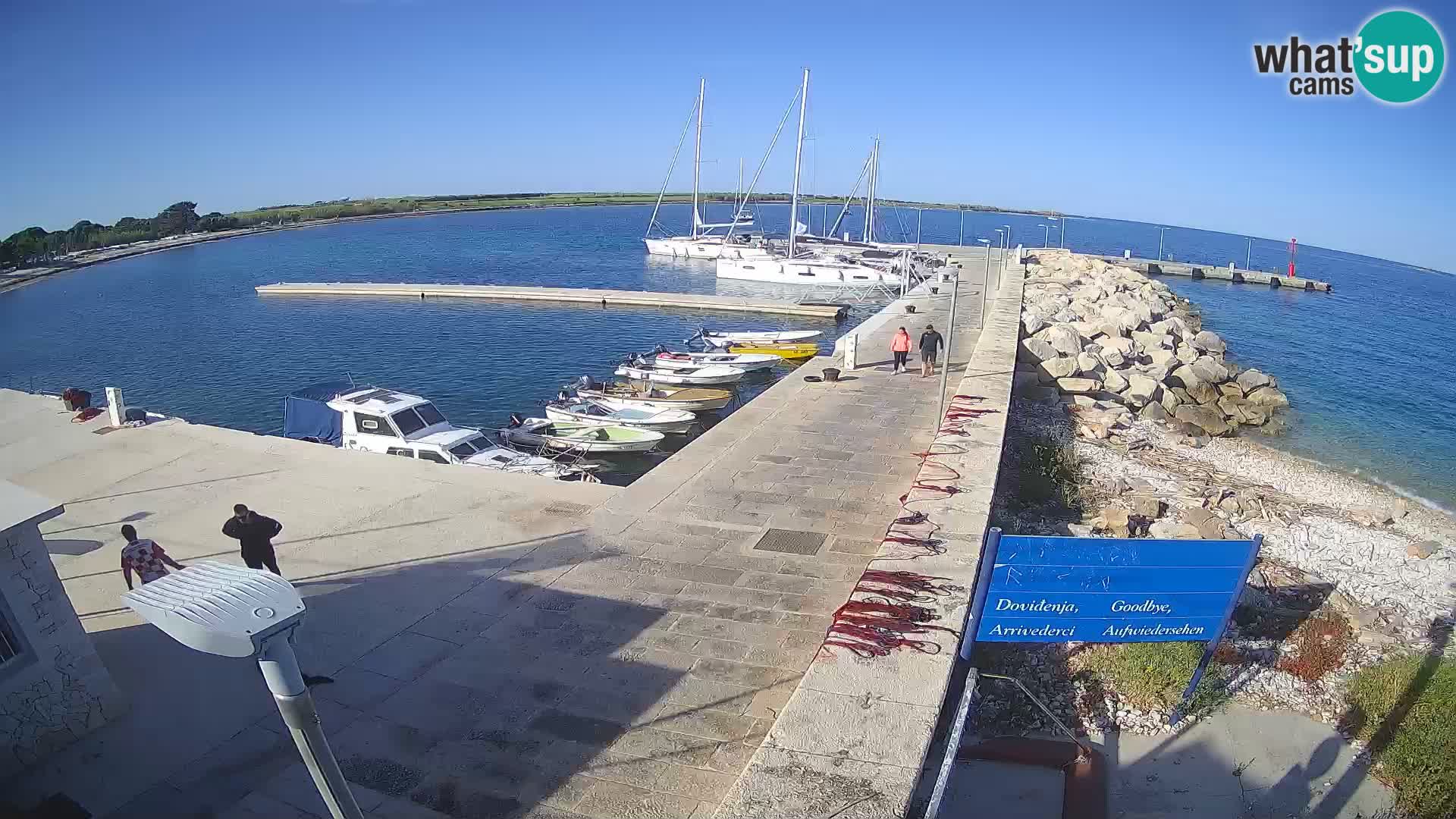Cámara web de la isla de Unije: explore la belleza de la joya escondida de Croacia