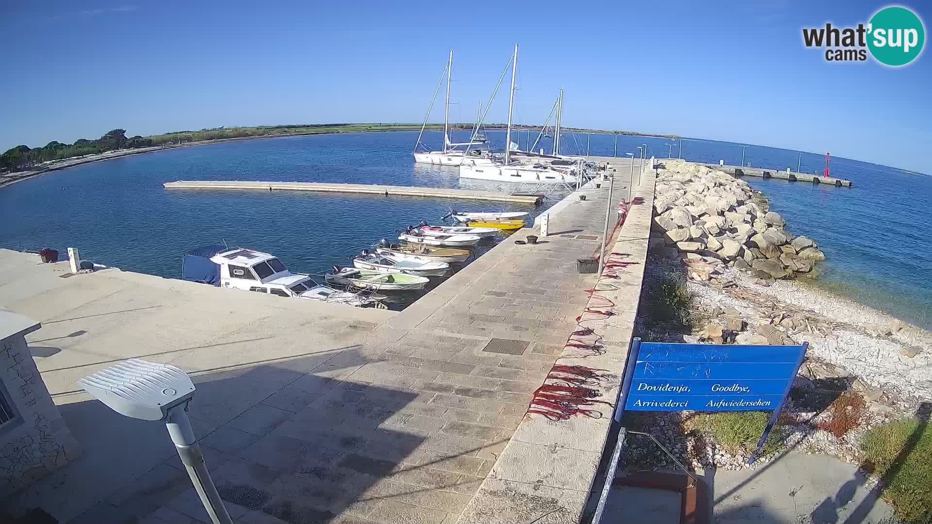 Cámara web de la isla de Unije: explore la belleza de la joya escondida de Croacia